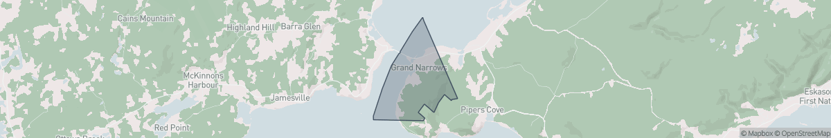 Geo Zone Map Thumbnail
