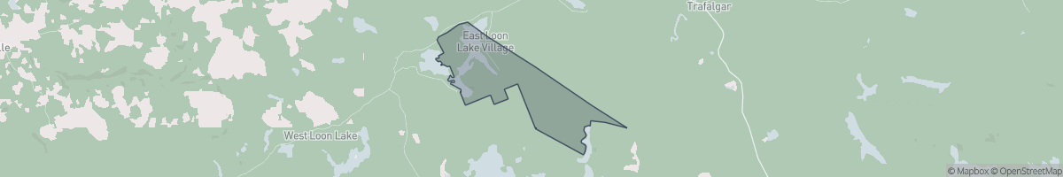 Geo Zone Map Thumbnail