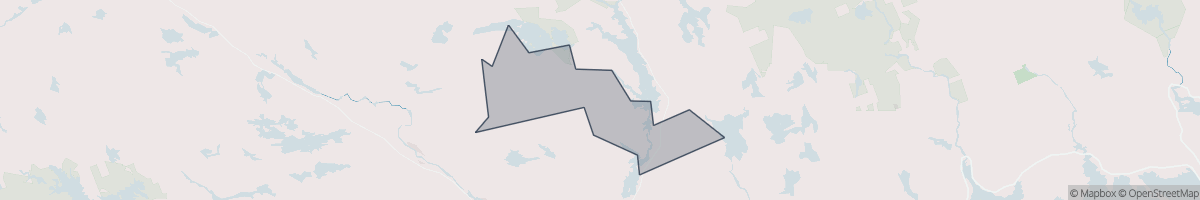 Geo Zone Map Thumbnail