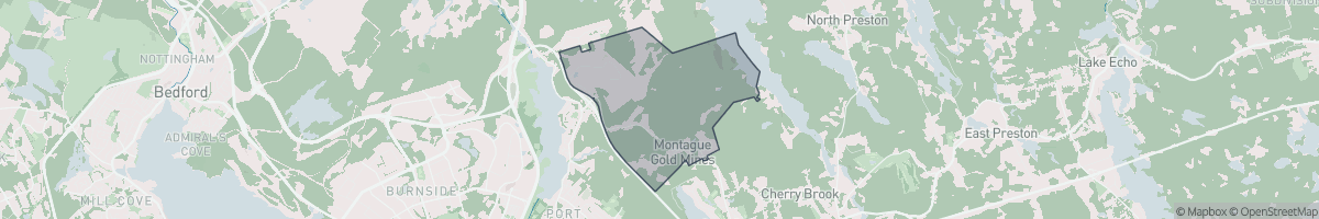 Geo Zone Map Thumbnail