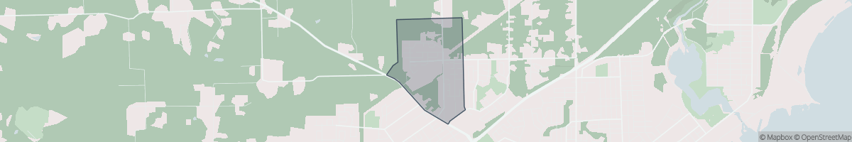 Geo Zone Map Thumbnail