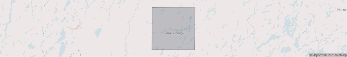 Geo Zone Map Thumbnail
