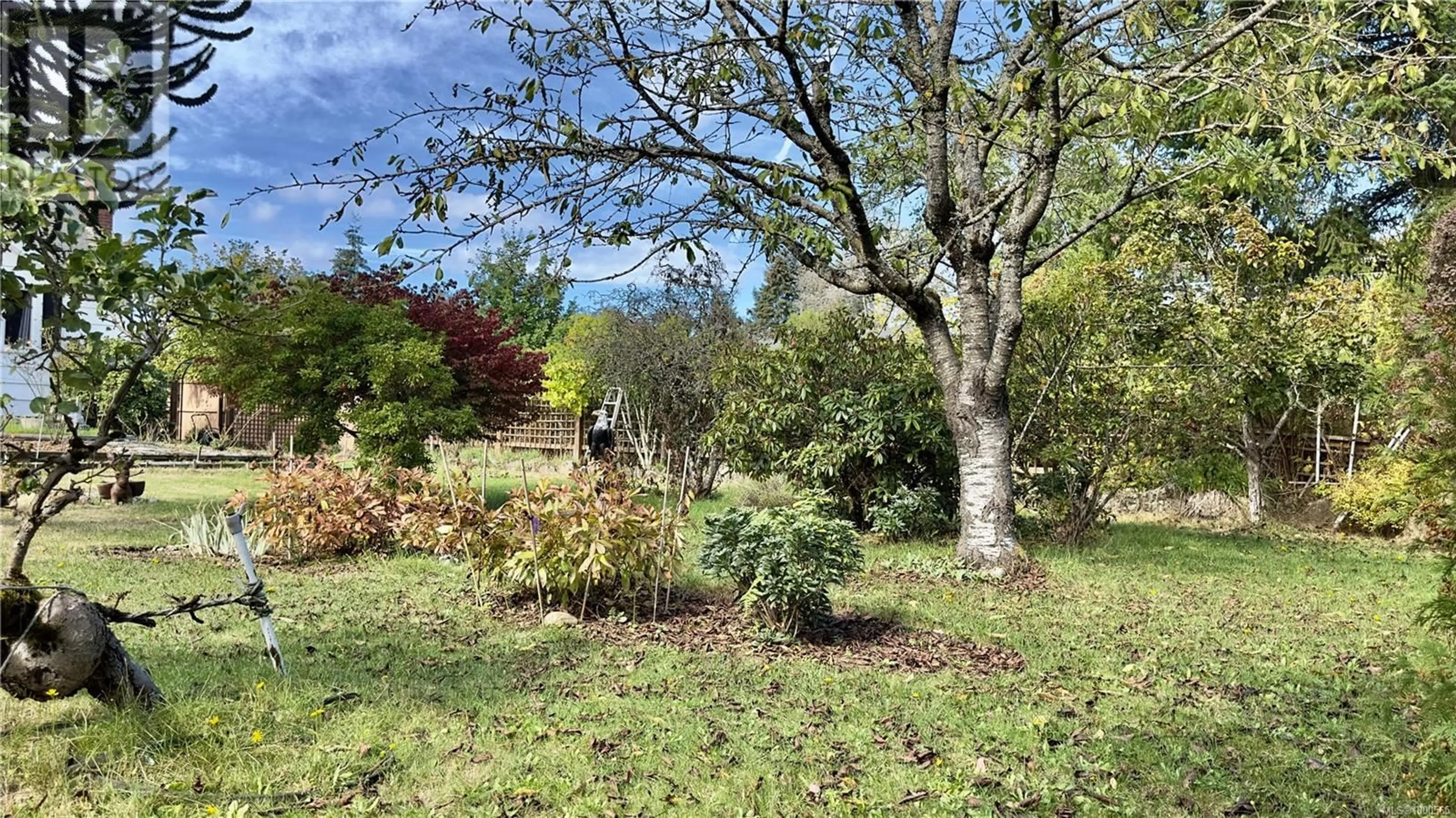 A pic from outside/outdoor area/front of a property/back of a property/a pic from drone, forest/trees view for 365 HOWARD AVENUE, Nanaimo British Columbia V9R3R8