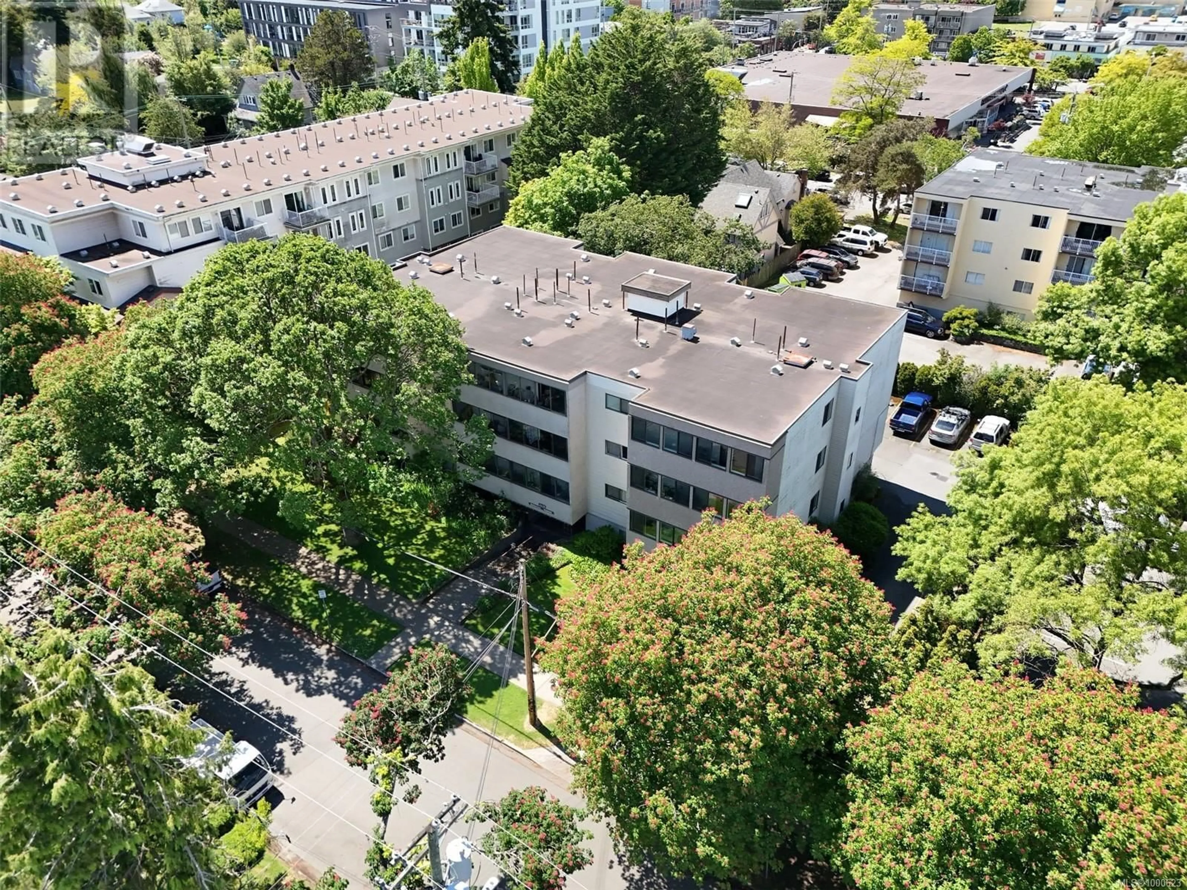 A pic from outside/outdoor area/front of a property/back of a property/a pic from drone, city buildings view from balcony for 104 - 2610 GRAHAM STREET, Victoria British Columbia V8T3Y9