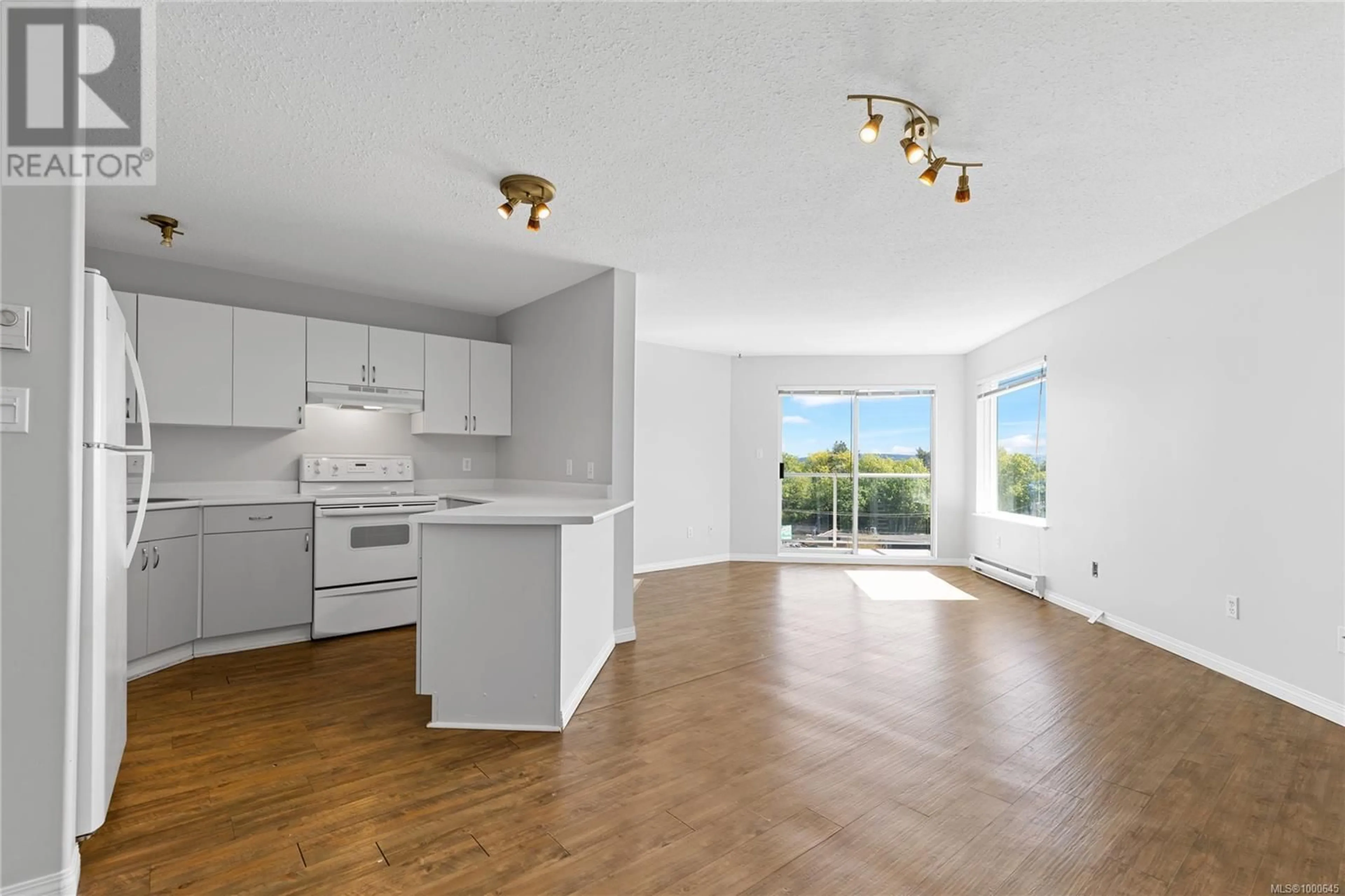 Open concept kitchen, unknown for 202 - 315 HECATE STREET, Nanaimo British Columbia V9R2J9