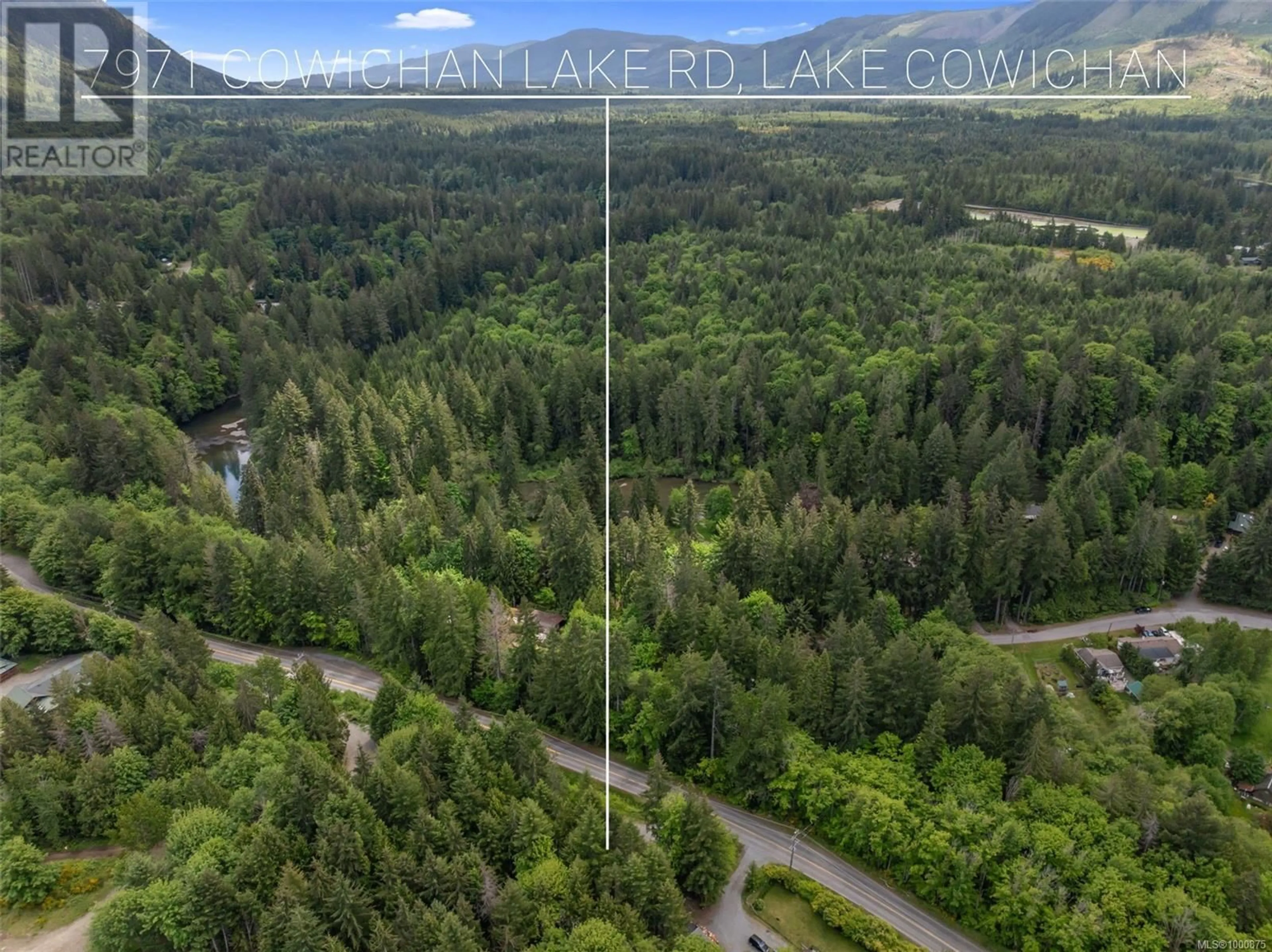 A pic from outside/outdoor area/front of a property/back of a property/a pic from drone, forest/trees view for 7971 COWICHAN LAKE ROAD, Lake Cowichan British Columbia V0R2G0