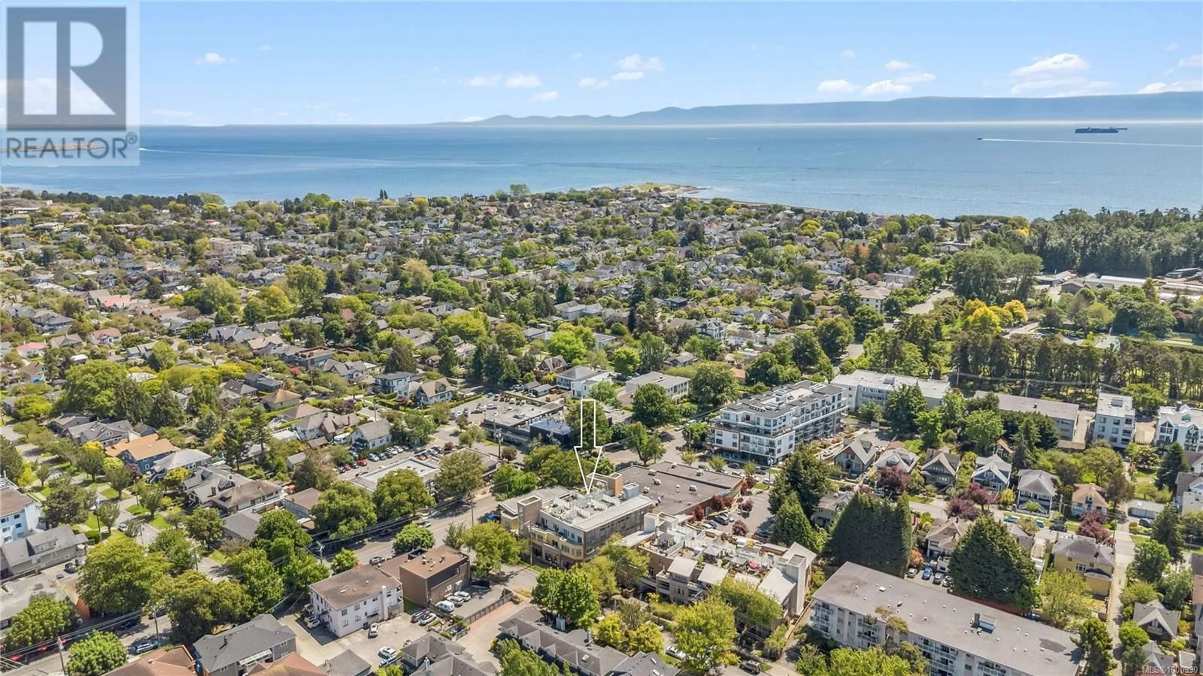 A pic from outside/outdoor area/front of a property/back of a property/a pic from drone, water/lake/river/ocean view for 212 - 240 COOK STREET, Victoria British Columbia V8V3X3