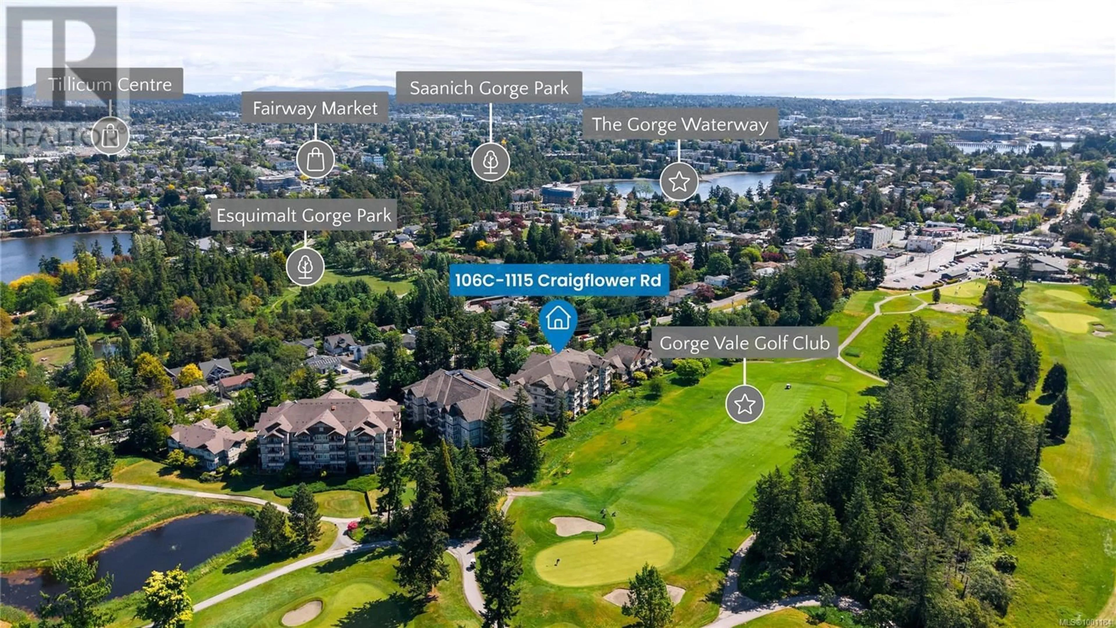 A pic from outside/outdoor area/front of a property/back of a property/a pic from drone, mountain view for 106C - 1115 CRAIGFLOWER ROAD, Esquimalt British Columbia V9A7R1
