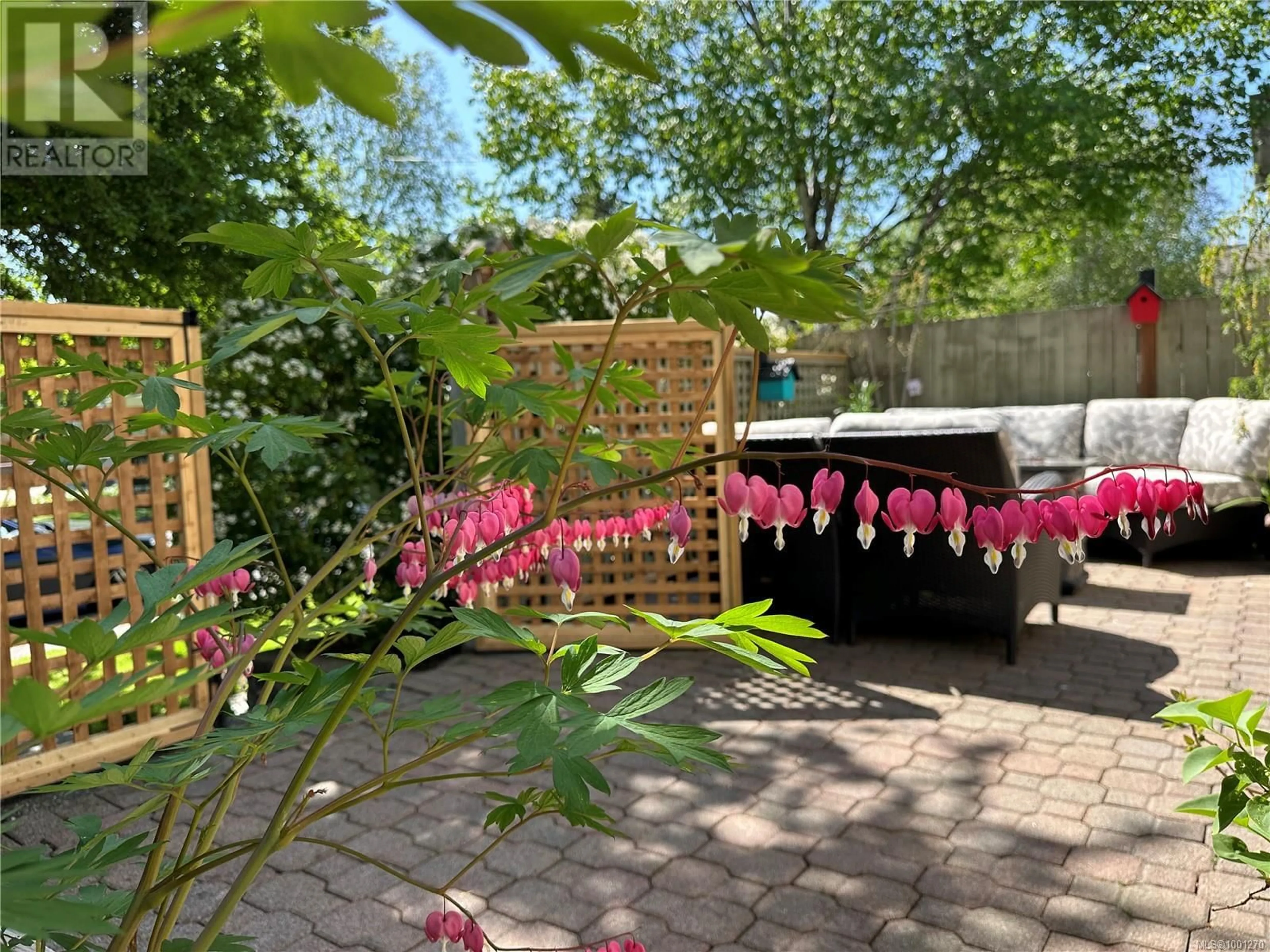 Patio, street for 1640 MYRTLE AVENUE, Victoria British Columbia V8R4J8