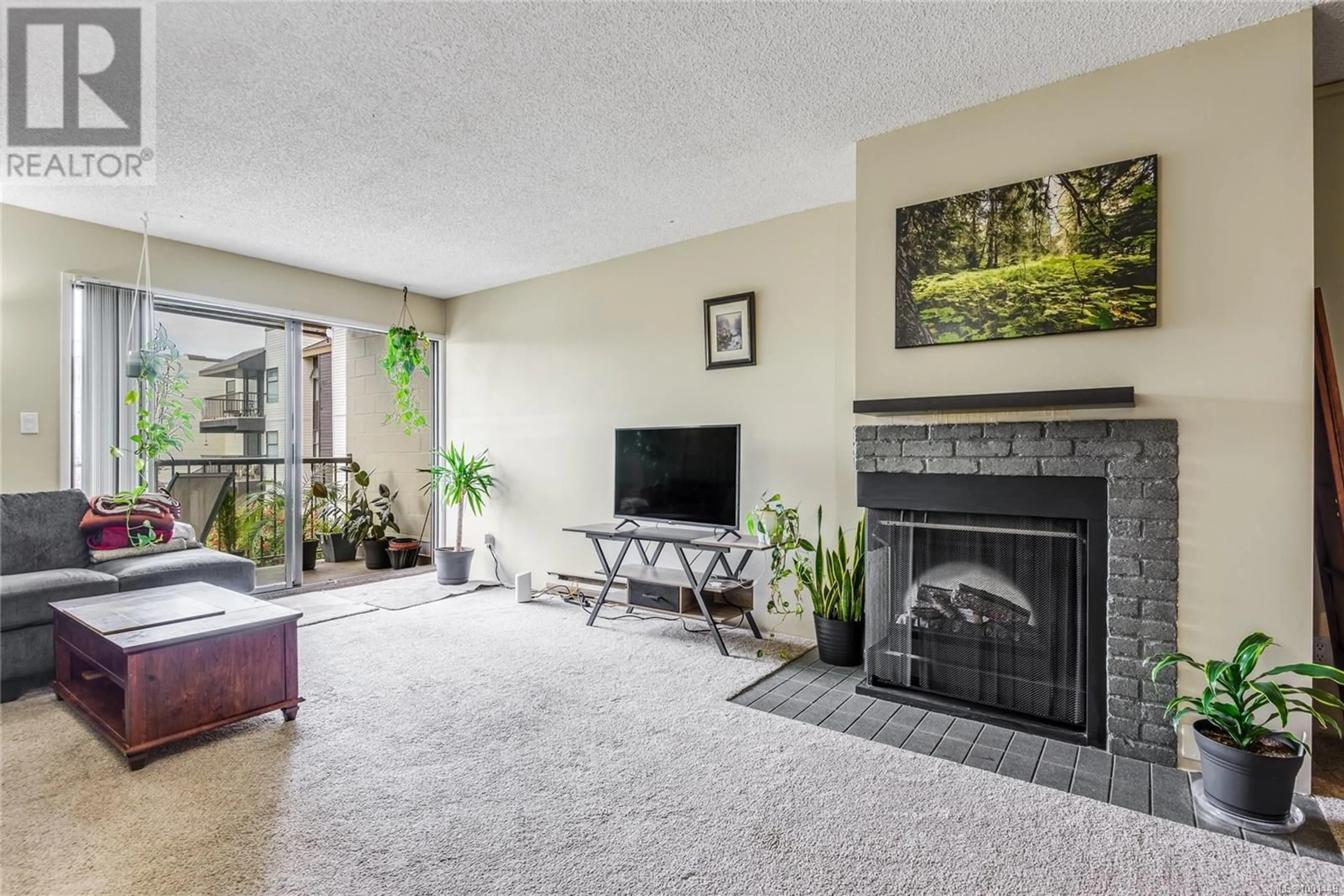 Living room with furniture, carpet floor for 213 - 585 DOGWOOD STREET SOUTH, Campbell River British Columbia V9W6T6