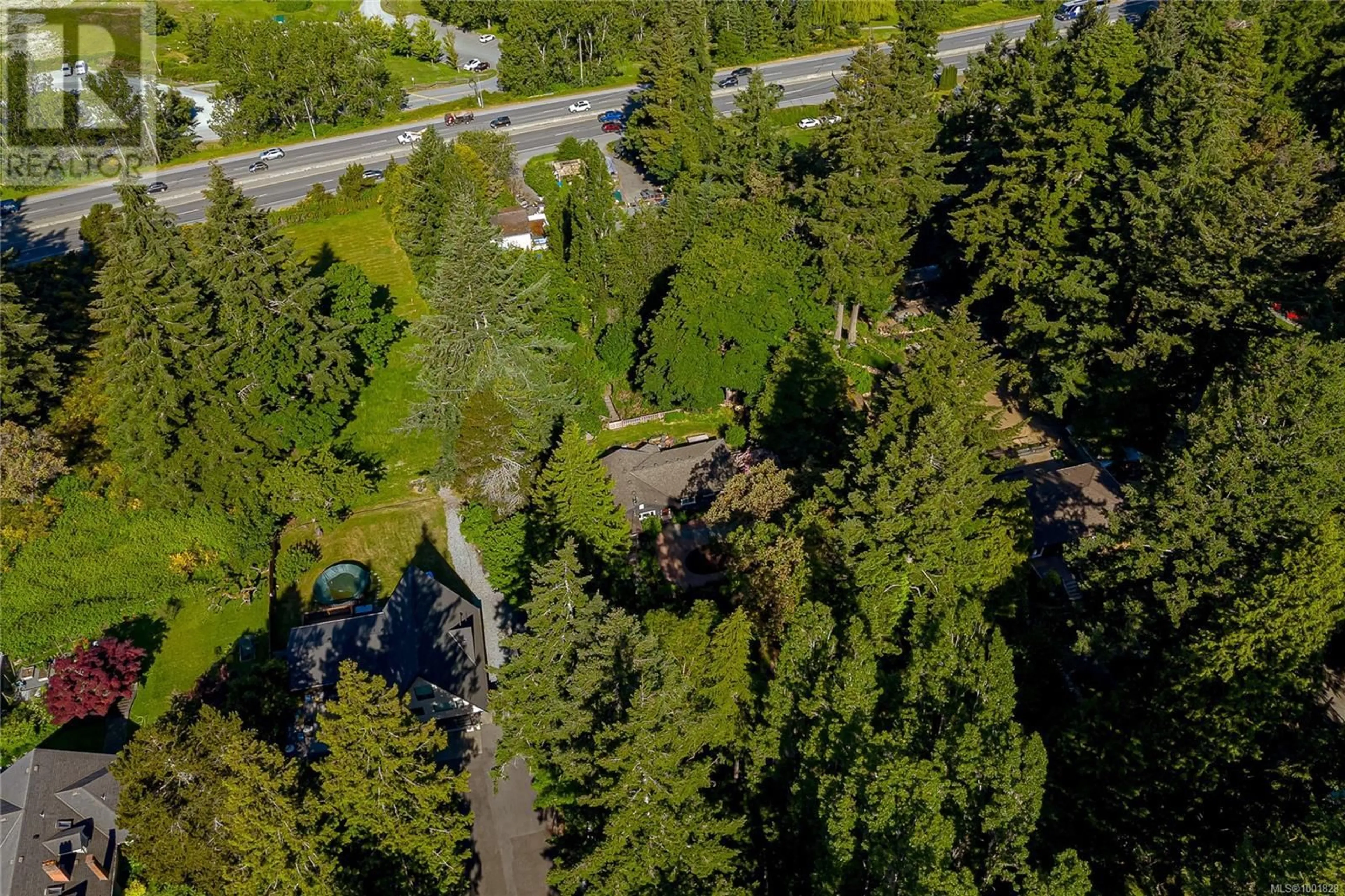 A pic from outside/outdoor area/front of a property/back of a property/a pic from drone, forest/trees view for 5168 SANTA CLARA AVENUE, Saanich British Columbia V8Y1W4
