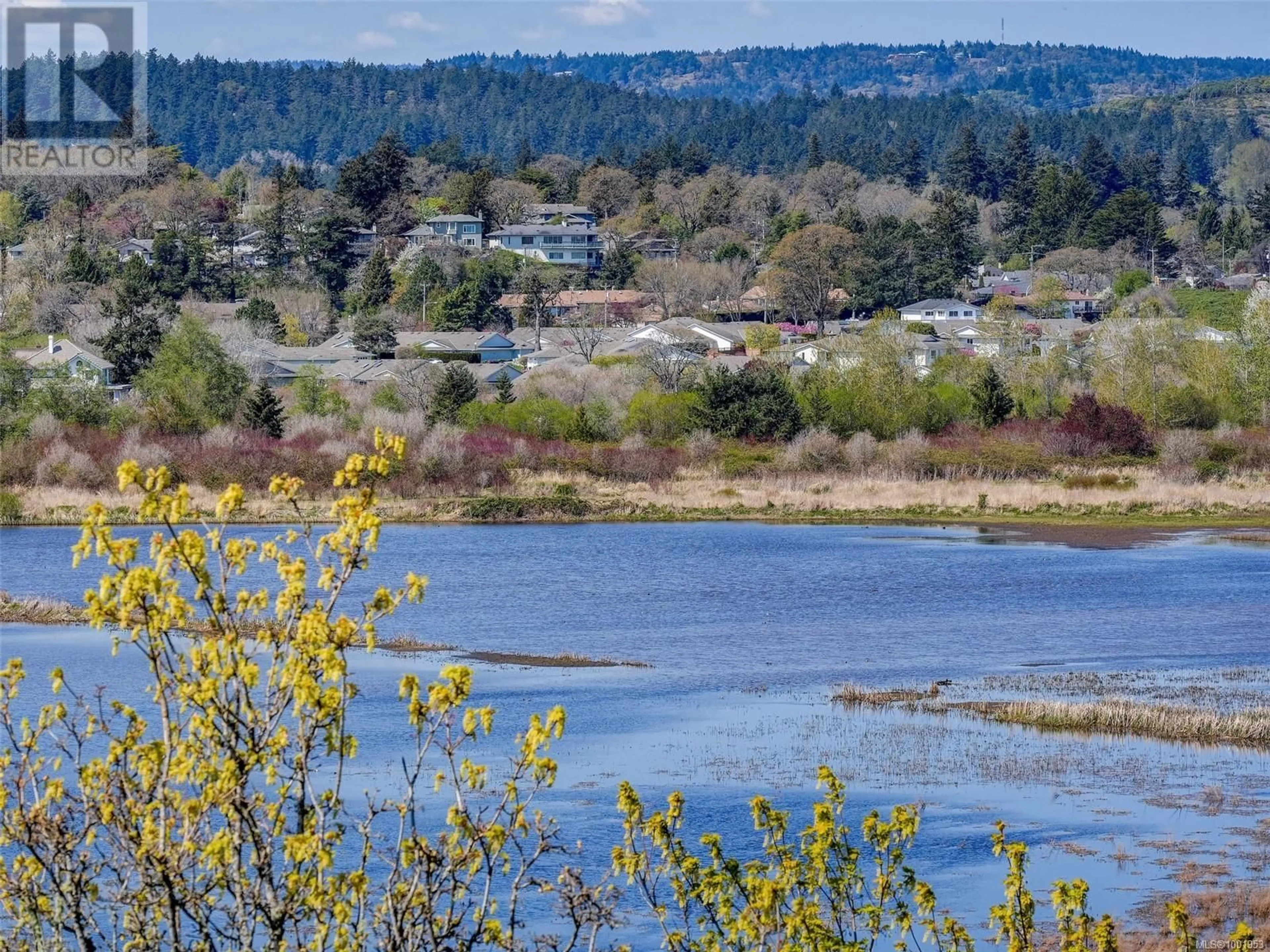 Blurry image for 514 BROADWAY STREET, Saanich British Columbia V8Z2E8