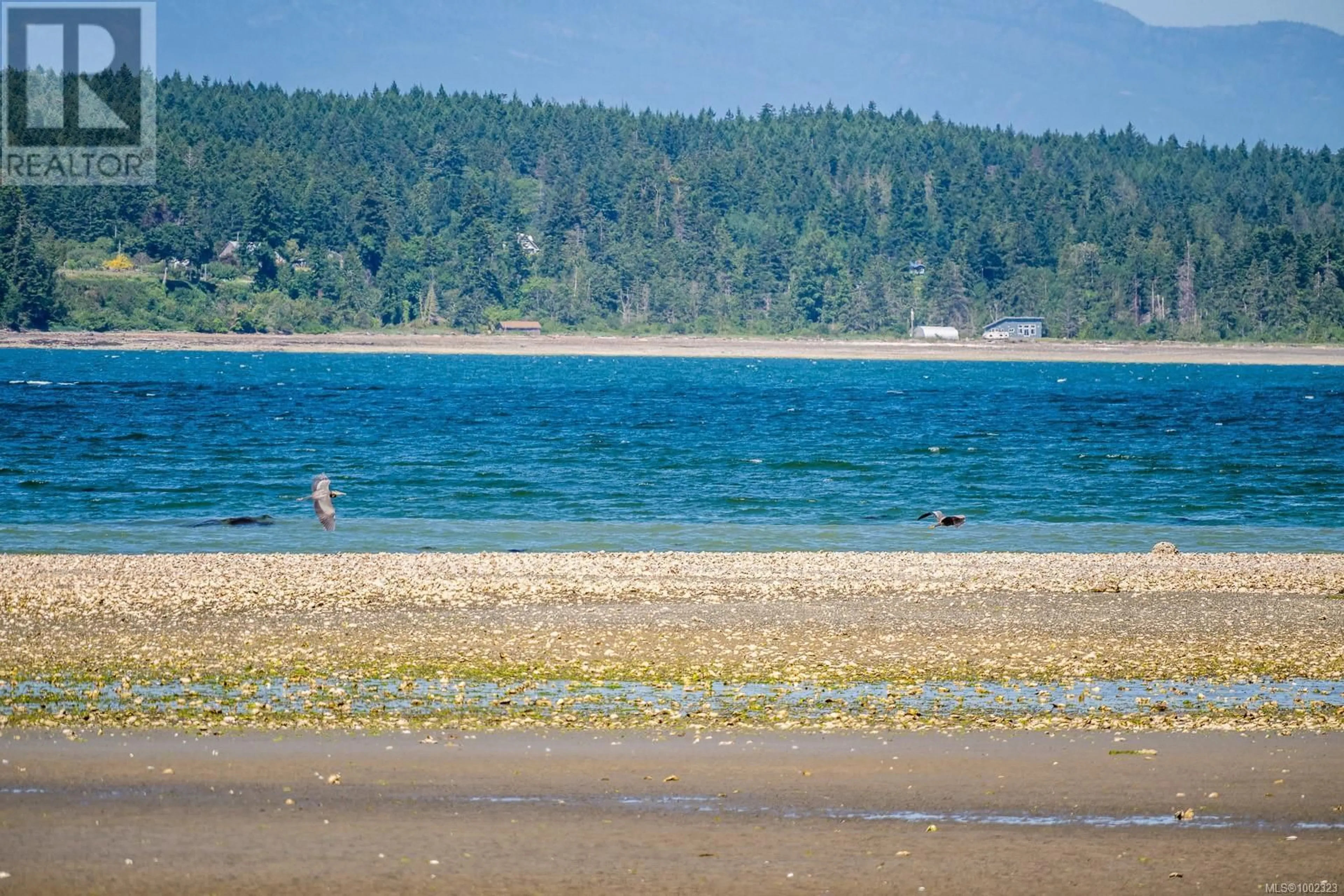 Blurry image for 3845 SHINGLE SPIT ROAD, Hornby Island British Columbia V0R1Z0