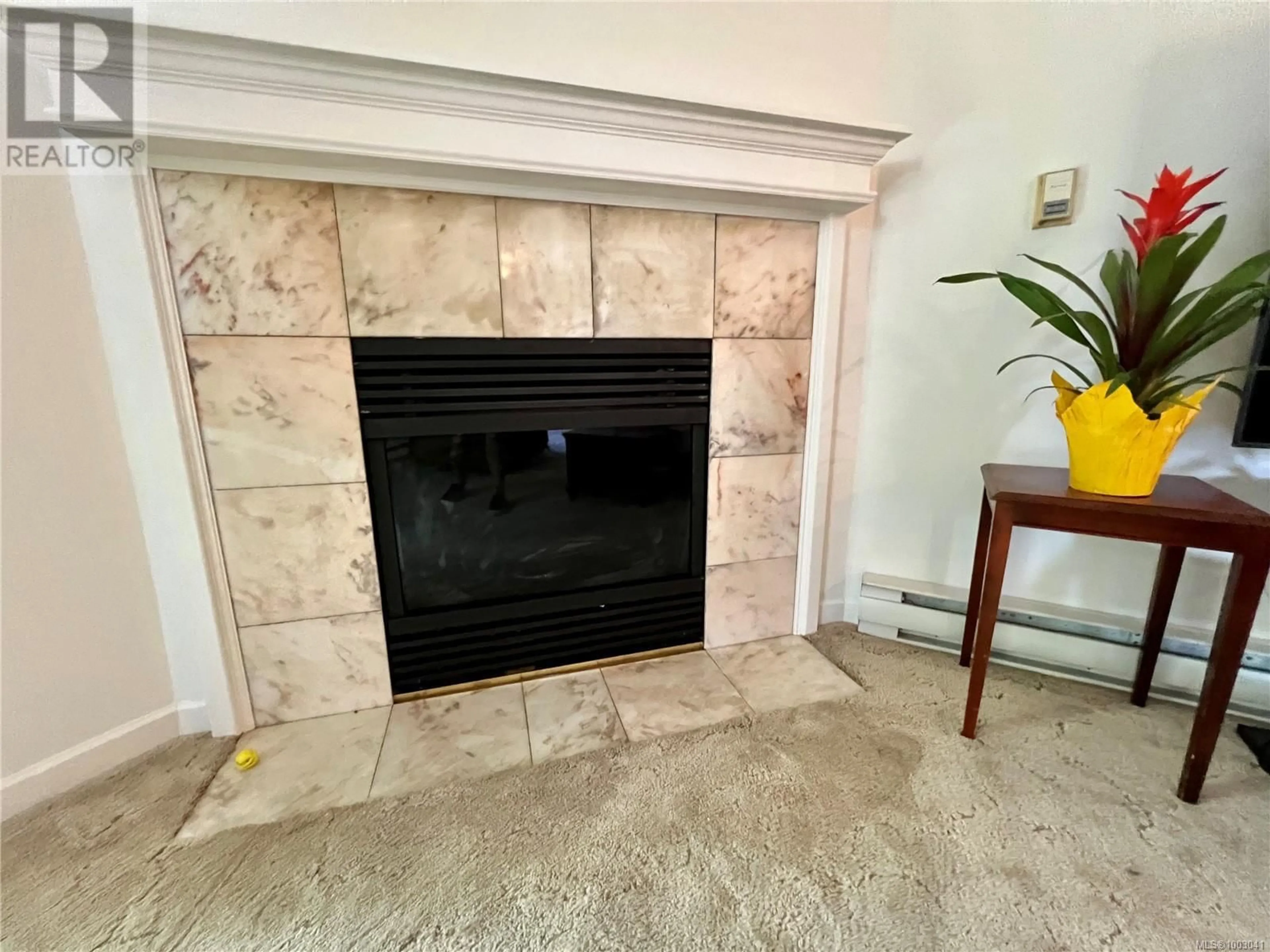 A pic of a room for 303 - 108 GORGE ROAD WEST, Saanich British Columbia V9A1M2