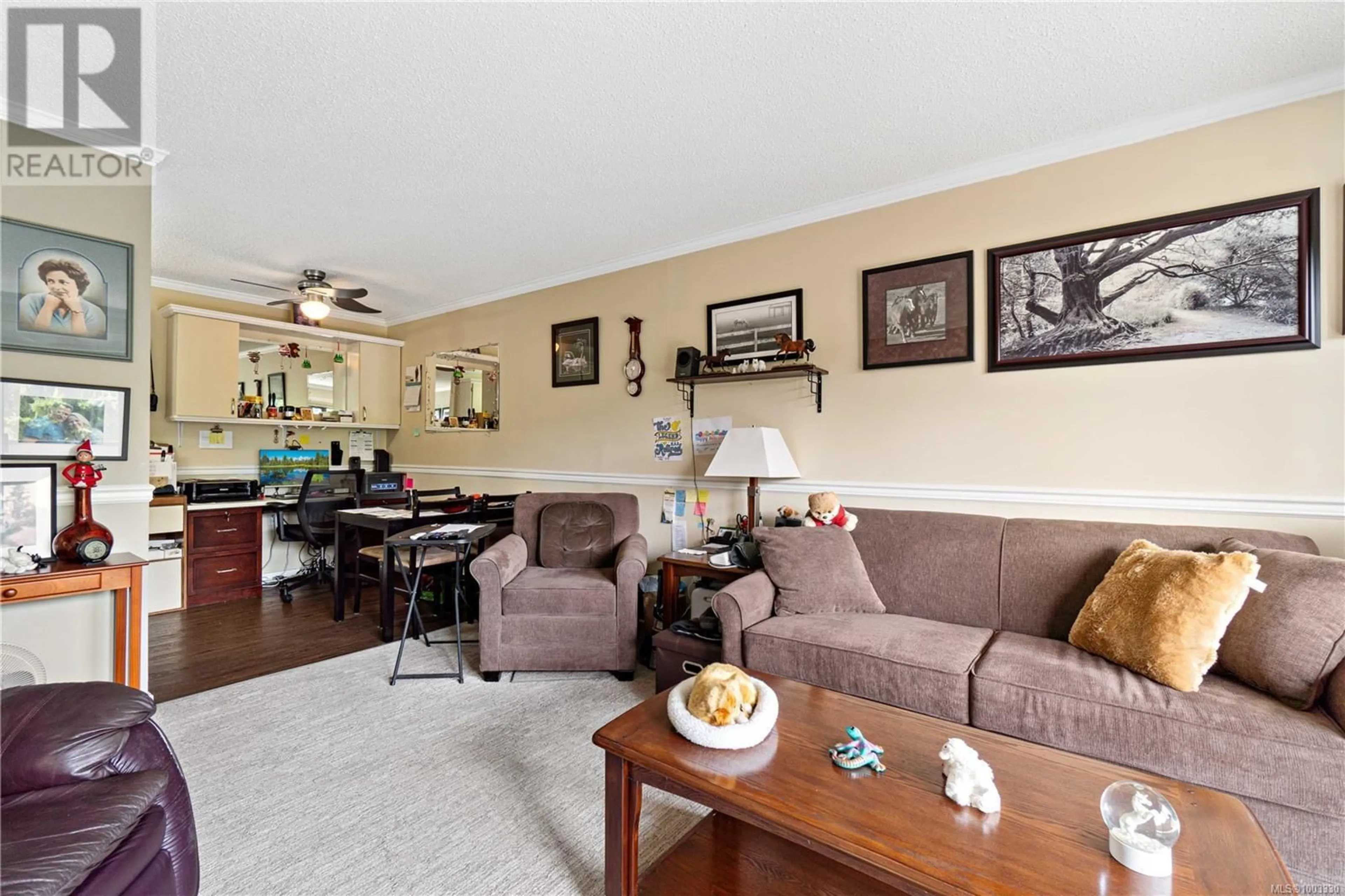 Living room with furniture, wood/laminate floor for 203 - 550 BRADLEY STREET, Nanaimo British Columbia V9S1C1