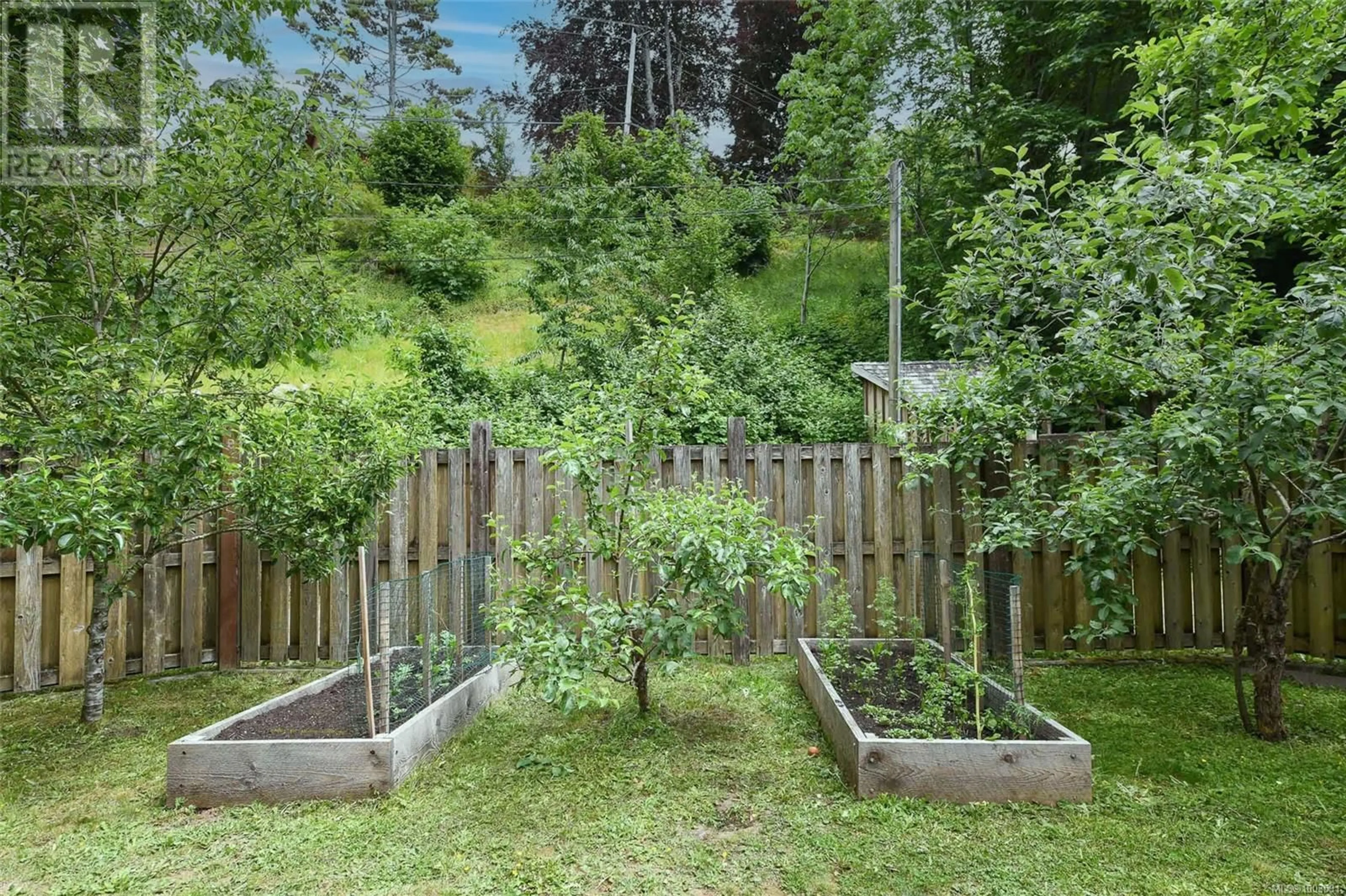 Patio, forest/trees view for A - 1008 1ST STREET, Courtenay British Columbia V9N1A9