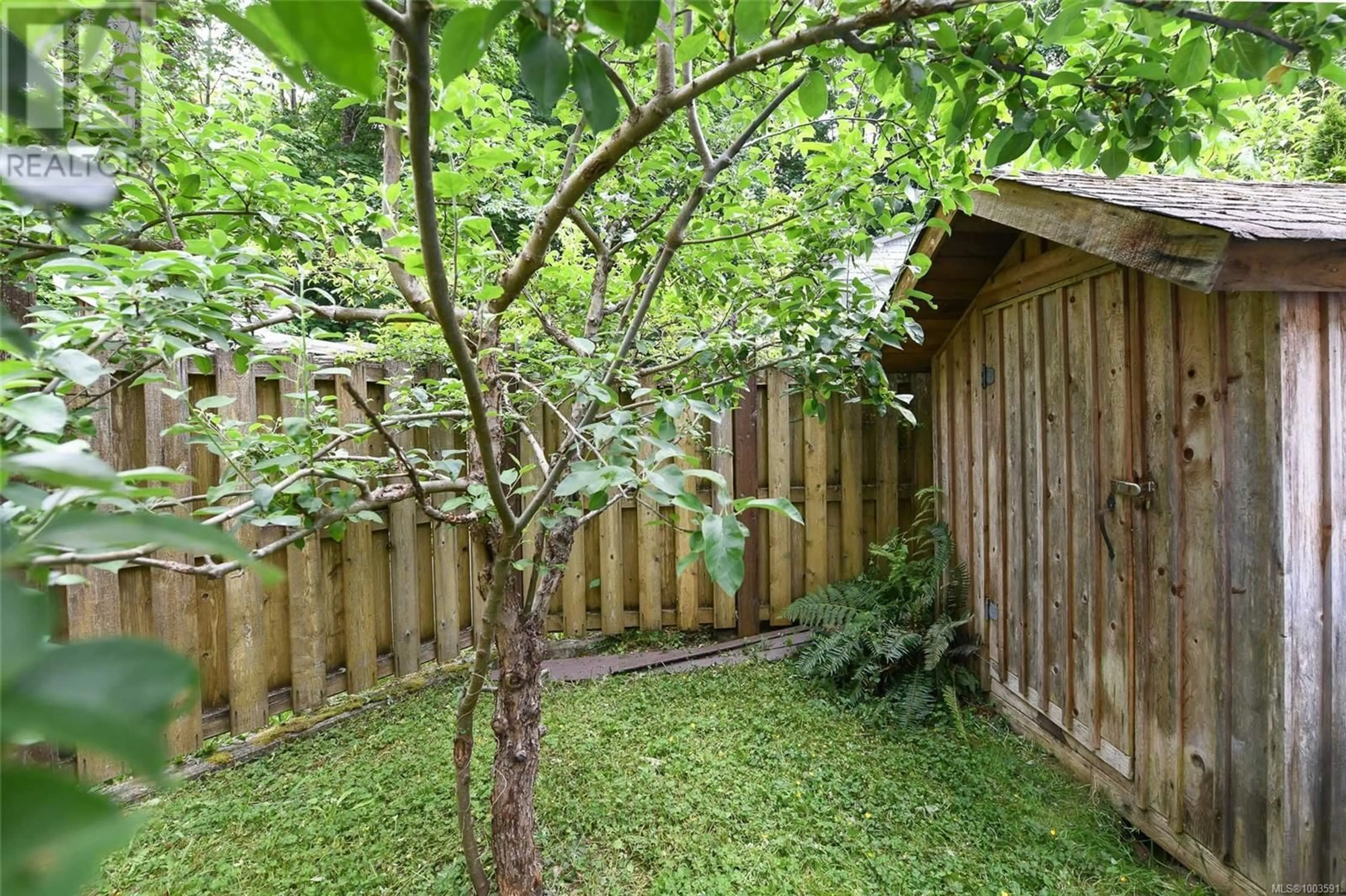 Patio, forest/trees view for A - 1008 1ST STREET, Courtenay British Columbia V9N1A9