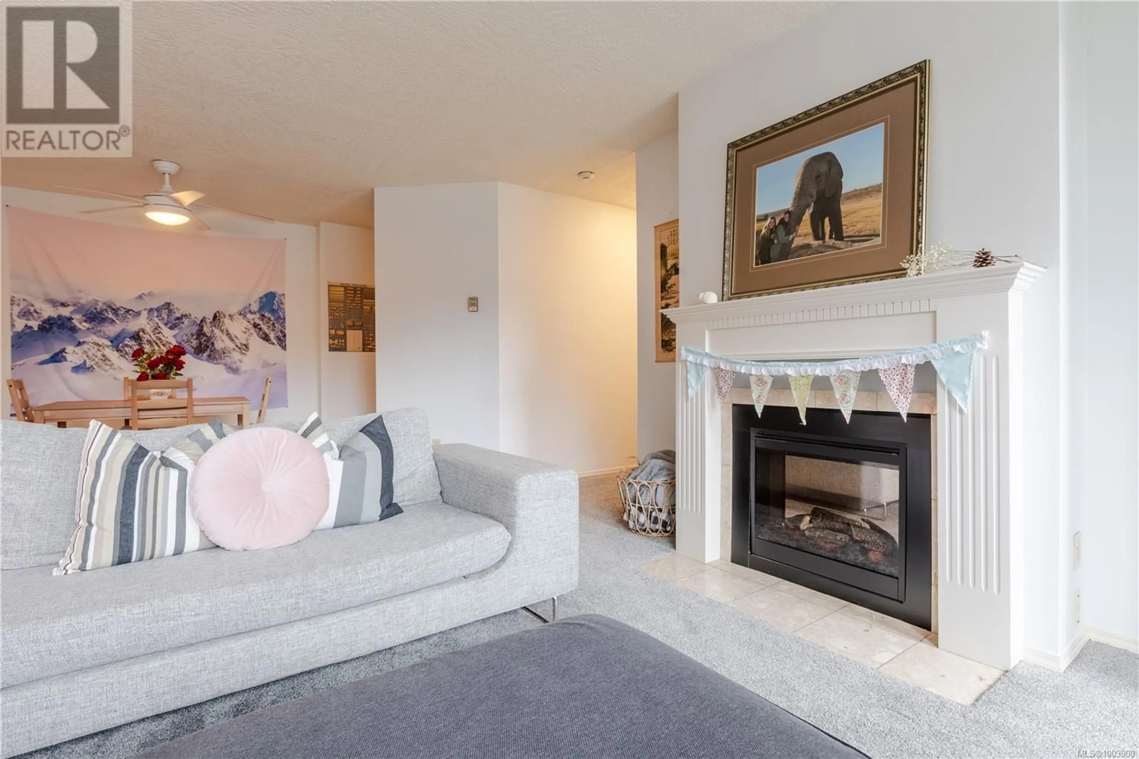 Living room with furniture, unknown for 203 - 3931 SHELBOURNE STREET, Saanich British Columbia V8P4H9