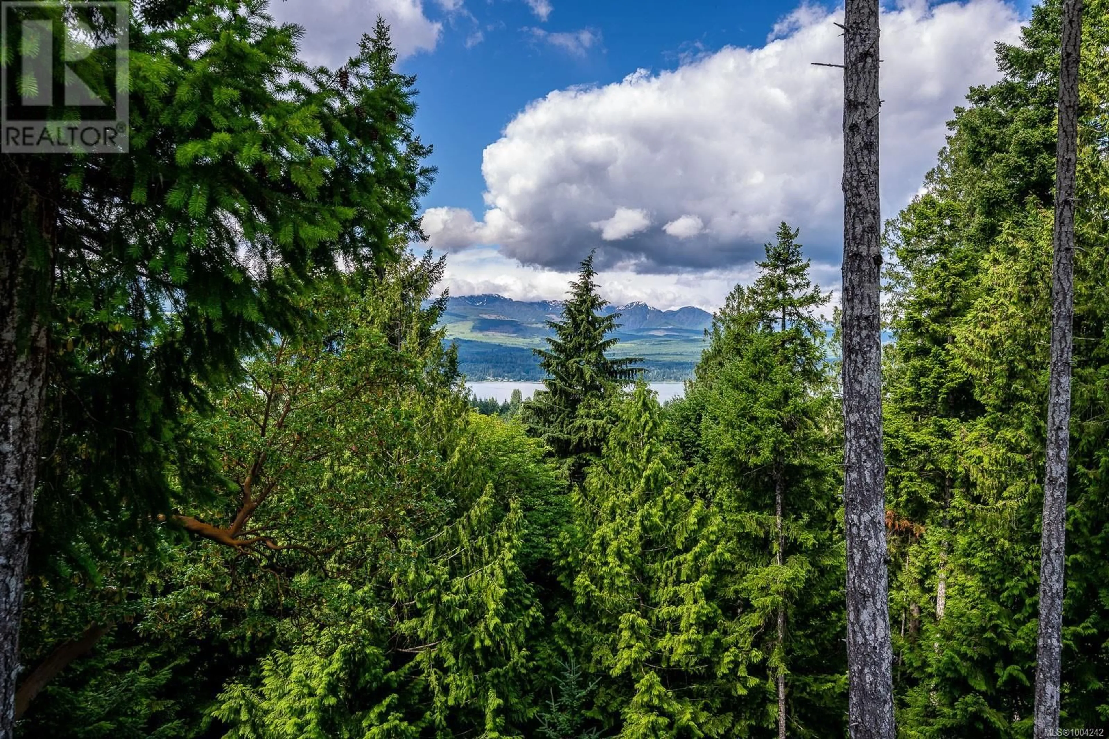A pic from outside/outdoor area/front of a property/back of a property/a pic from drone, forest/trees view for 2350 CHICKADEE ROAD, Denman Island British Columbia V0R1T0