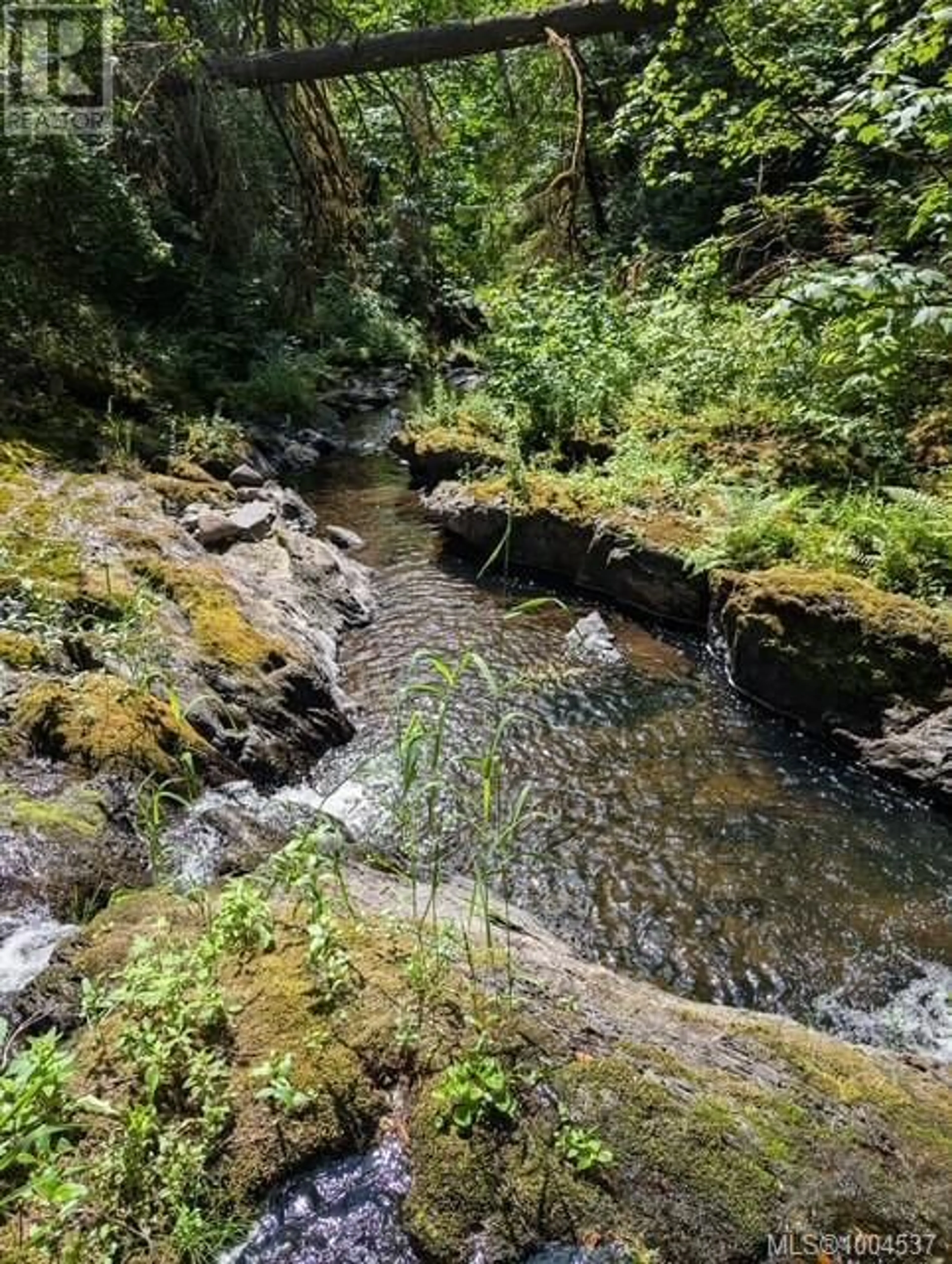 Blurry image for 3744 GIBBINS ROAD, Duncan British Columbia V9L6E8
