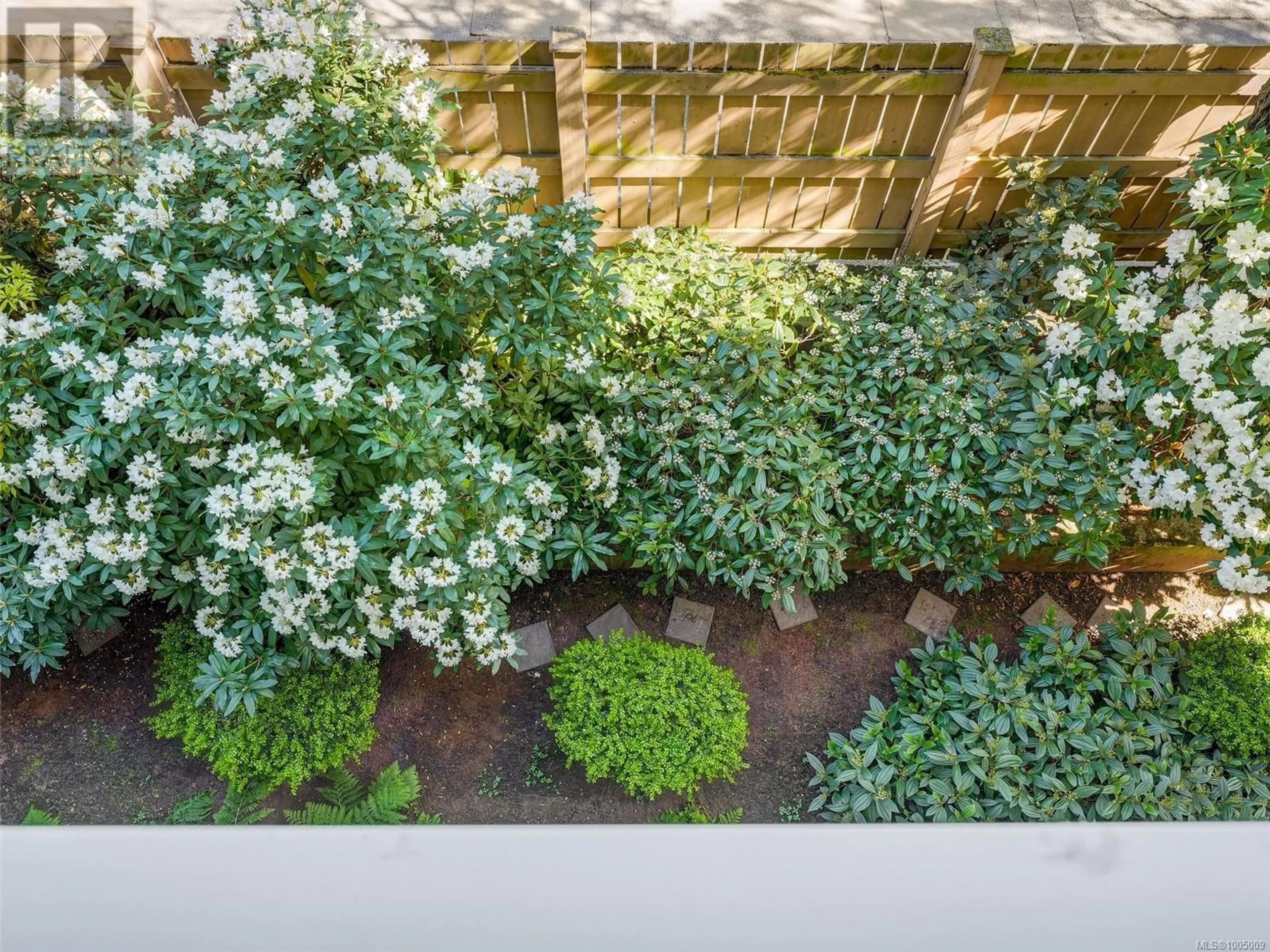 A pic from outside/outdoor area/front of a property/back of a property/a pic from drone, street for 304 - 649 BAY STREET, Victoria British Columbia V8T5H8