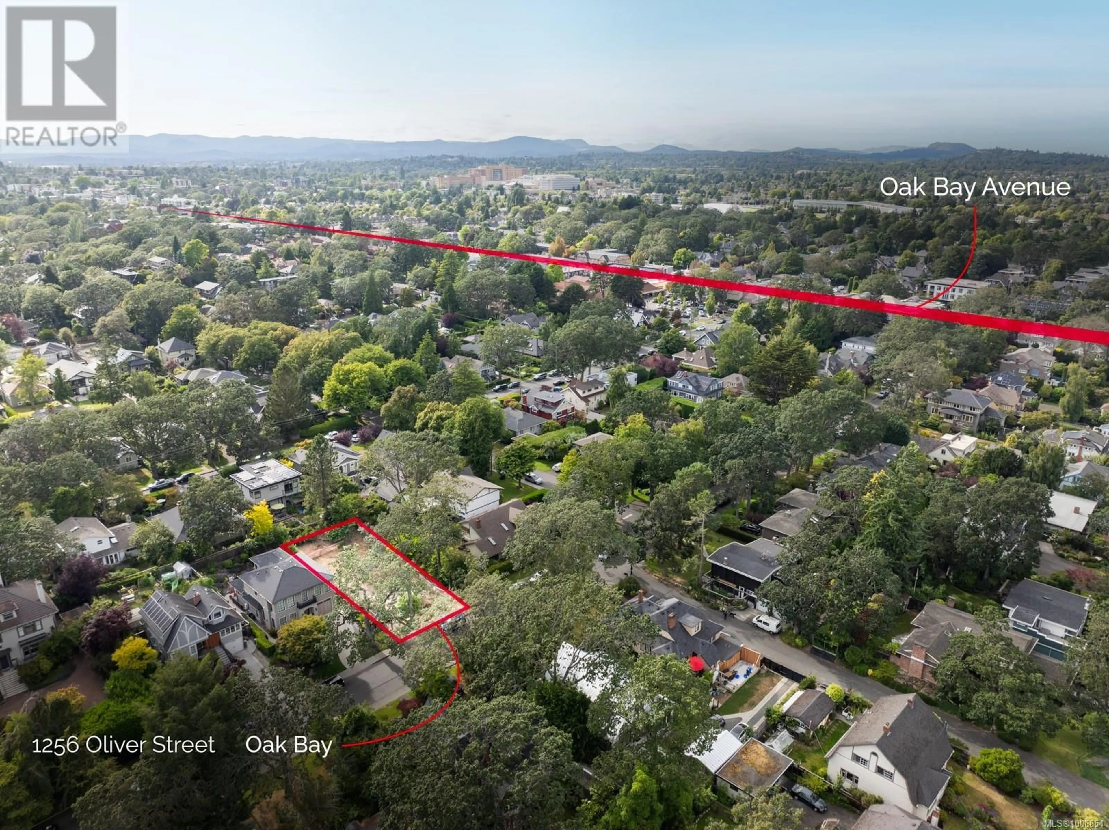 A pic from outside/outdoor area/front of a property/back of a property/a pic from drone, street for 1256 OLIVER STREET, Oak Bay British Columbia V8S4W9
