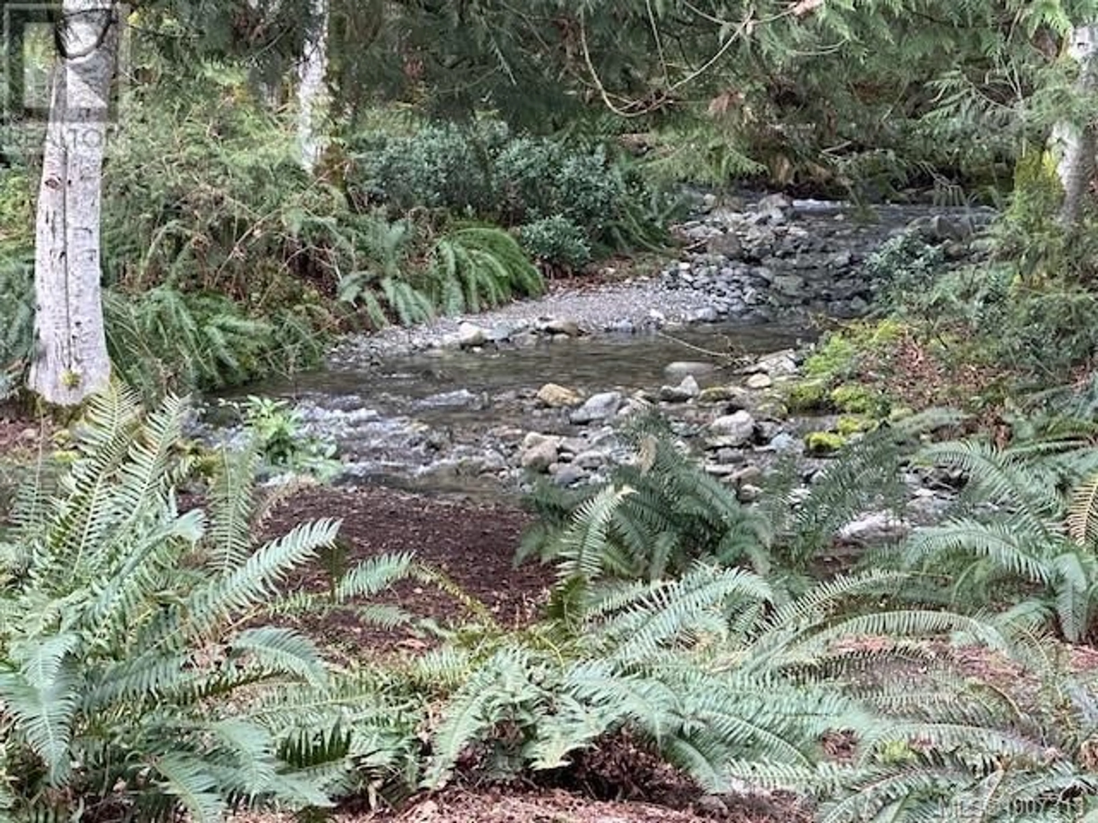 Blurry image for 7353 NEVA ROAD, Lake Cowichan British Columbia V0R2G0