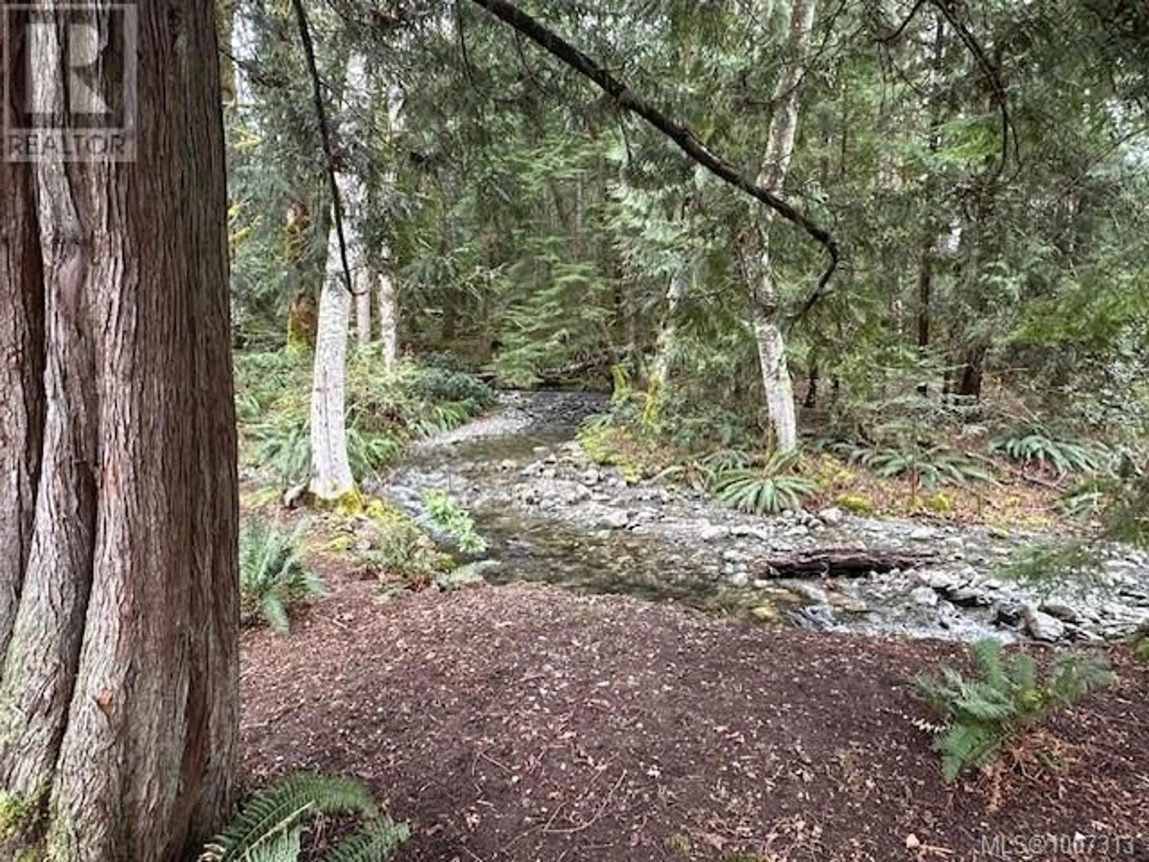 Blurry image for 7353 NEVA ROAD, Lake Cowichan British Columbia V0R2G0
