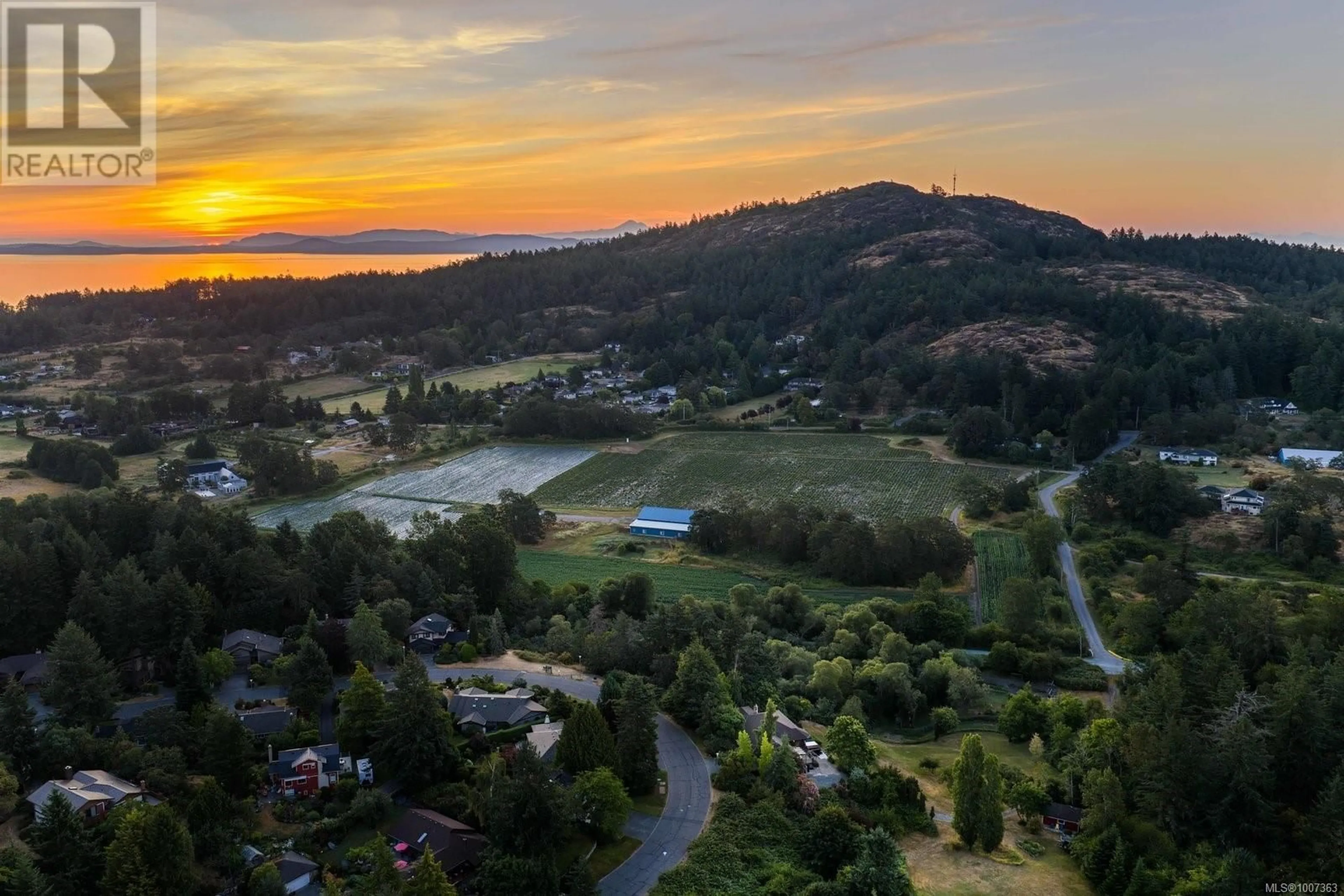 A pic from outside/outdoor area/front of a property/back of a property/a pic from drone, mountain view for 1070 DONWOOD DRIVE, Saanich British Columbia V8X4G3