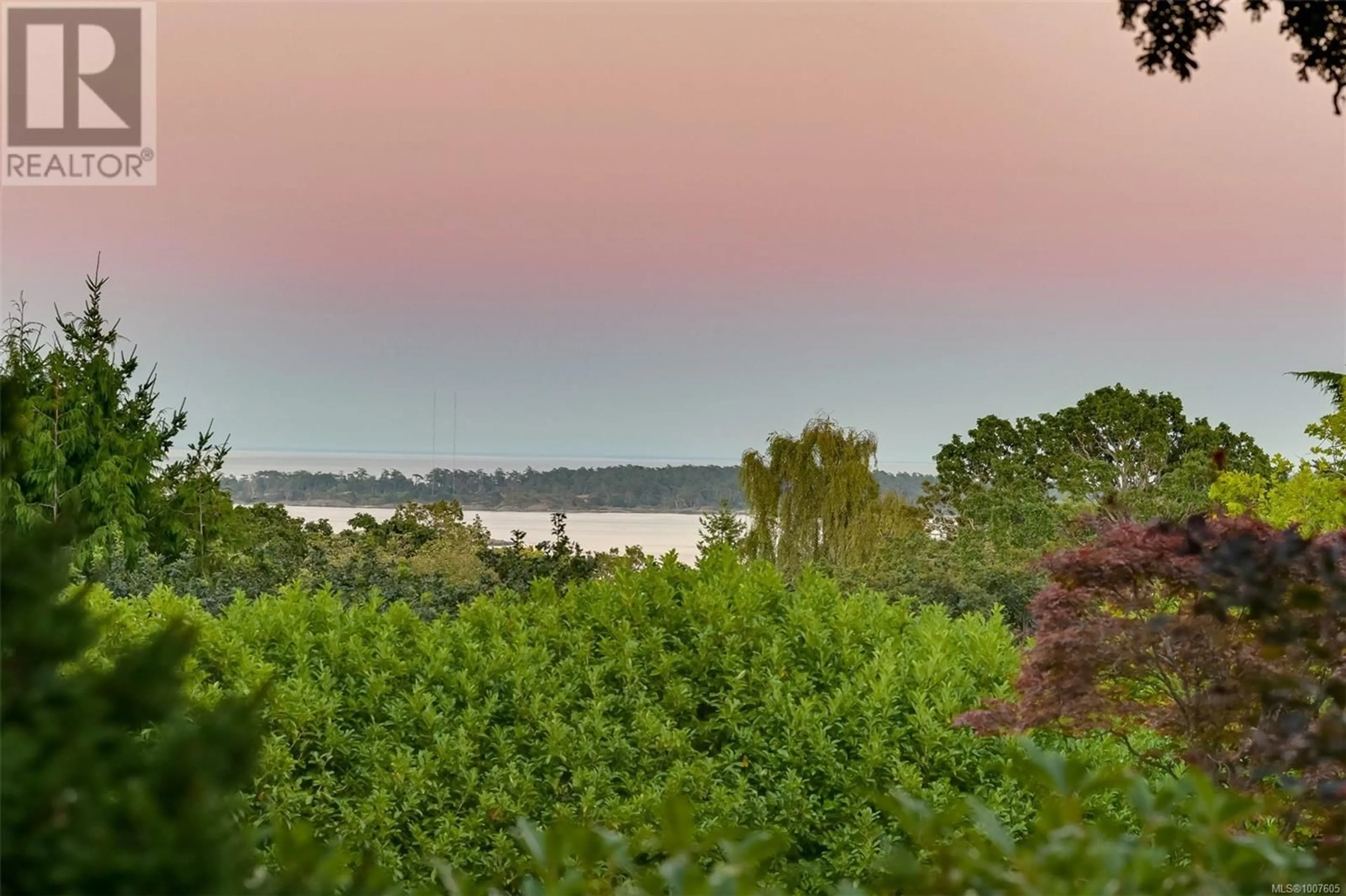 A pic from outside/outdoor area/front of a property/back of a property/a pic from drone, water/lake/river/ocean view for 3375 UPPER TERRACE ROAD, Oak Bay British Columbia V8R6E5
