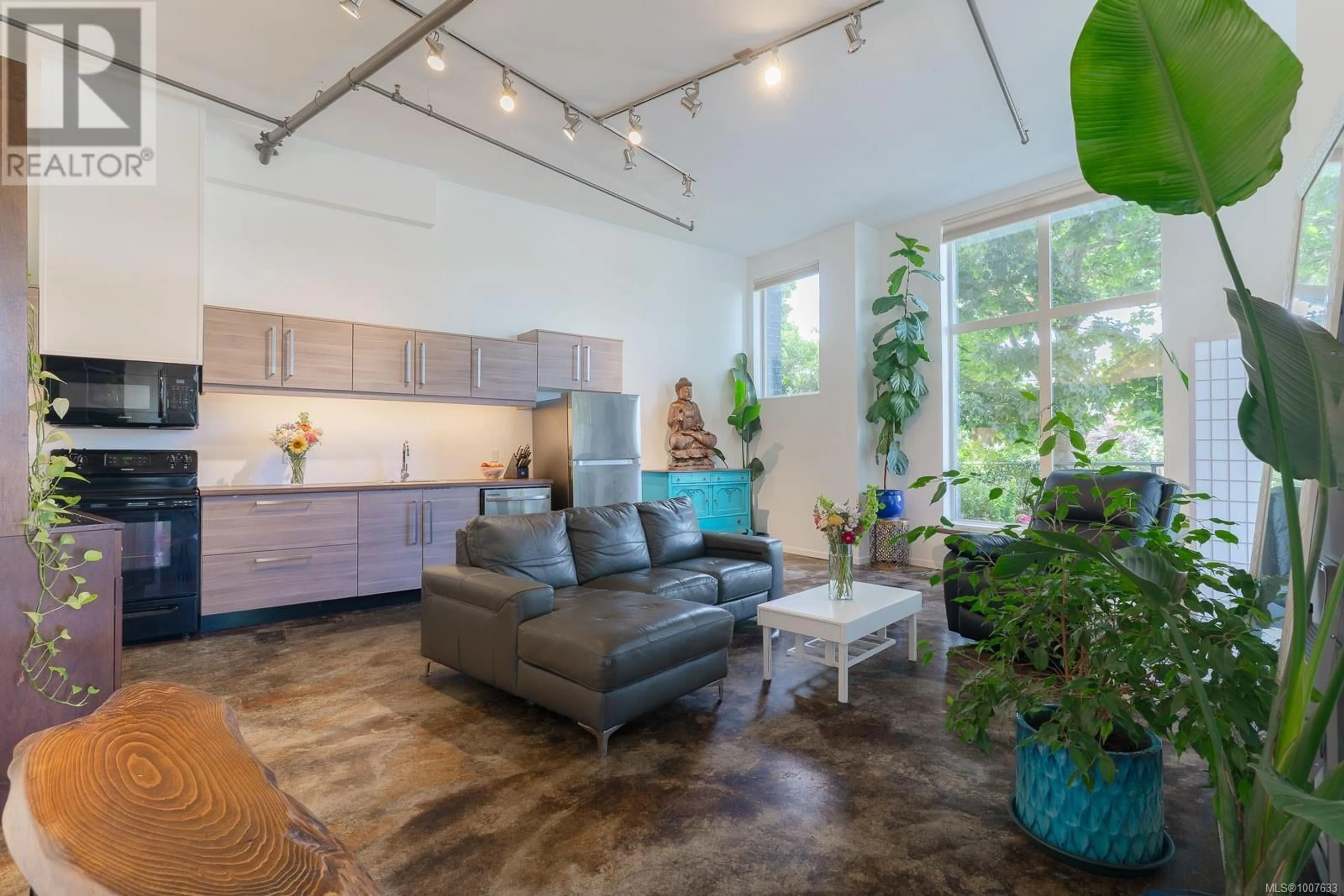 Living room with furniture, cement floor for 116 - 555 FRANKLYN STREET, Nanaimo British Columbia V9R2X9
