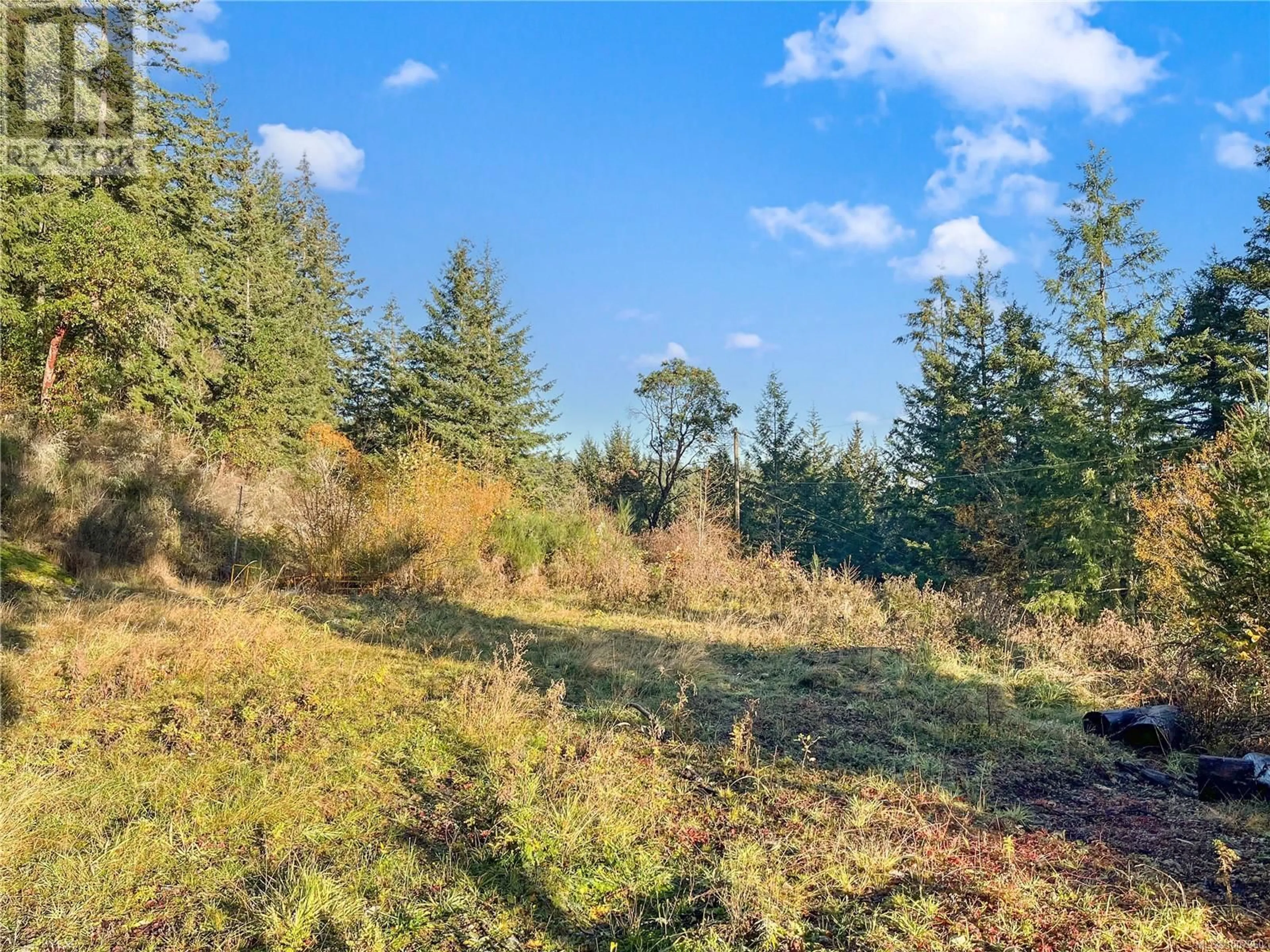 A pic from outside/outdoor area/front of a property/back of a property/a pic from drone, forest/trees view for 8030 TRANS CANADA HIGHWAY, Duncan British Columbia V9L3R9