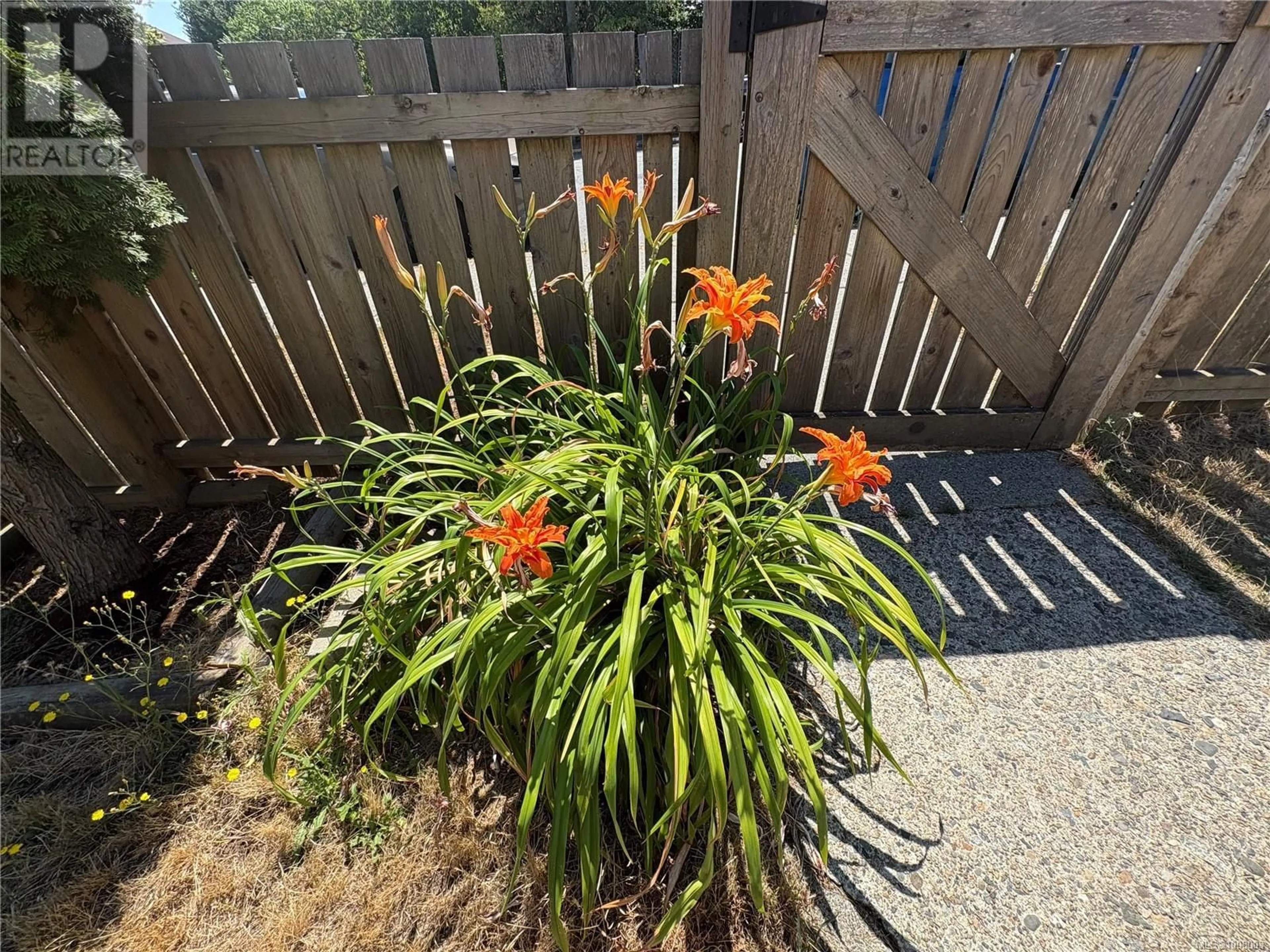 A pic from outside/outdoor area/front of a property/back of a property/a pic from drone, street for 632 MILTON STREET, Nanaimo British Columbia V9R2L5