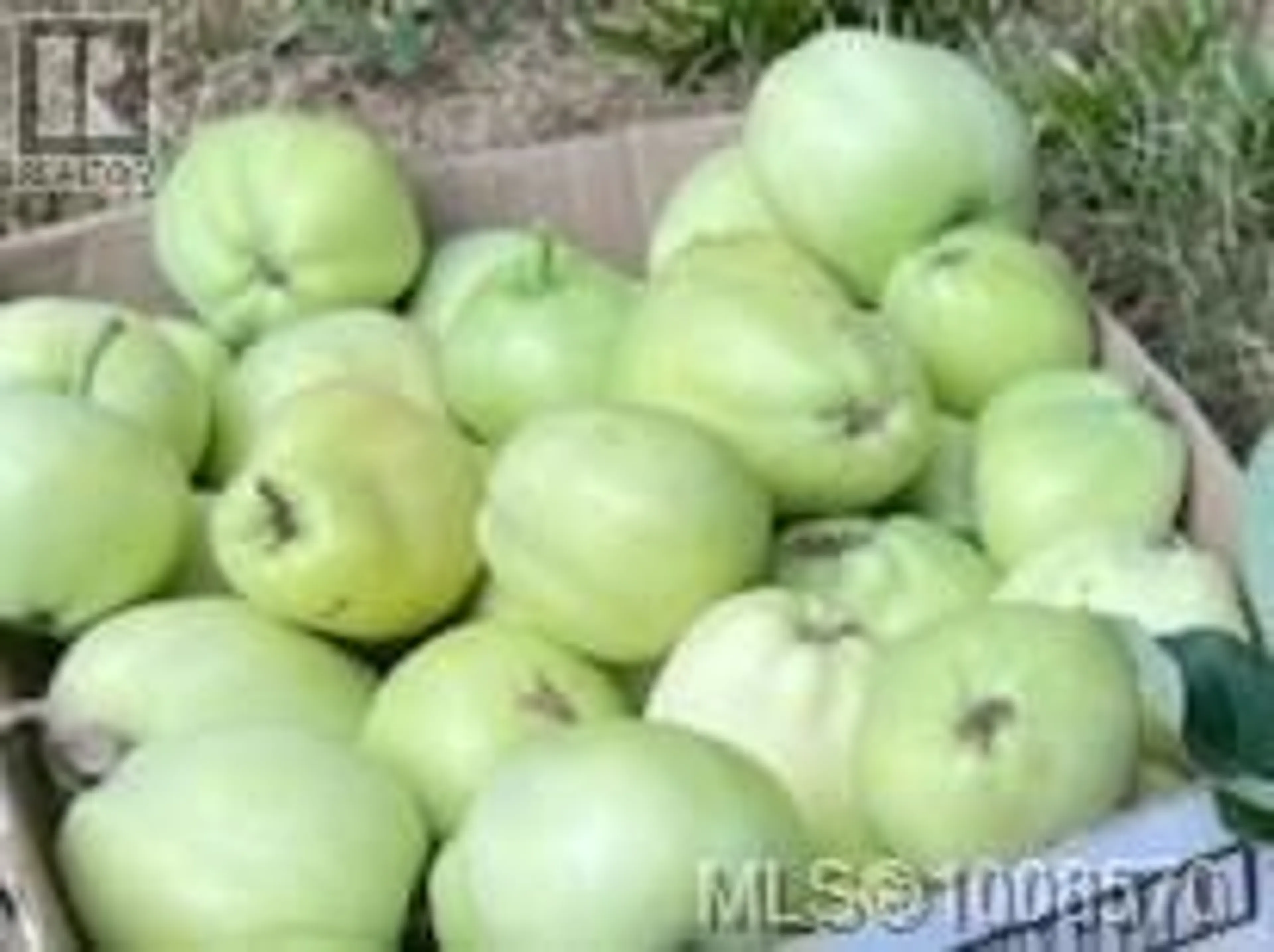 Blurry image for 3708 STARBOARD CRESCENT, Pender Island British Columbia V0N2M0