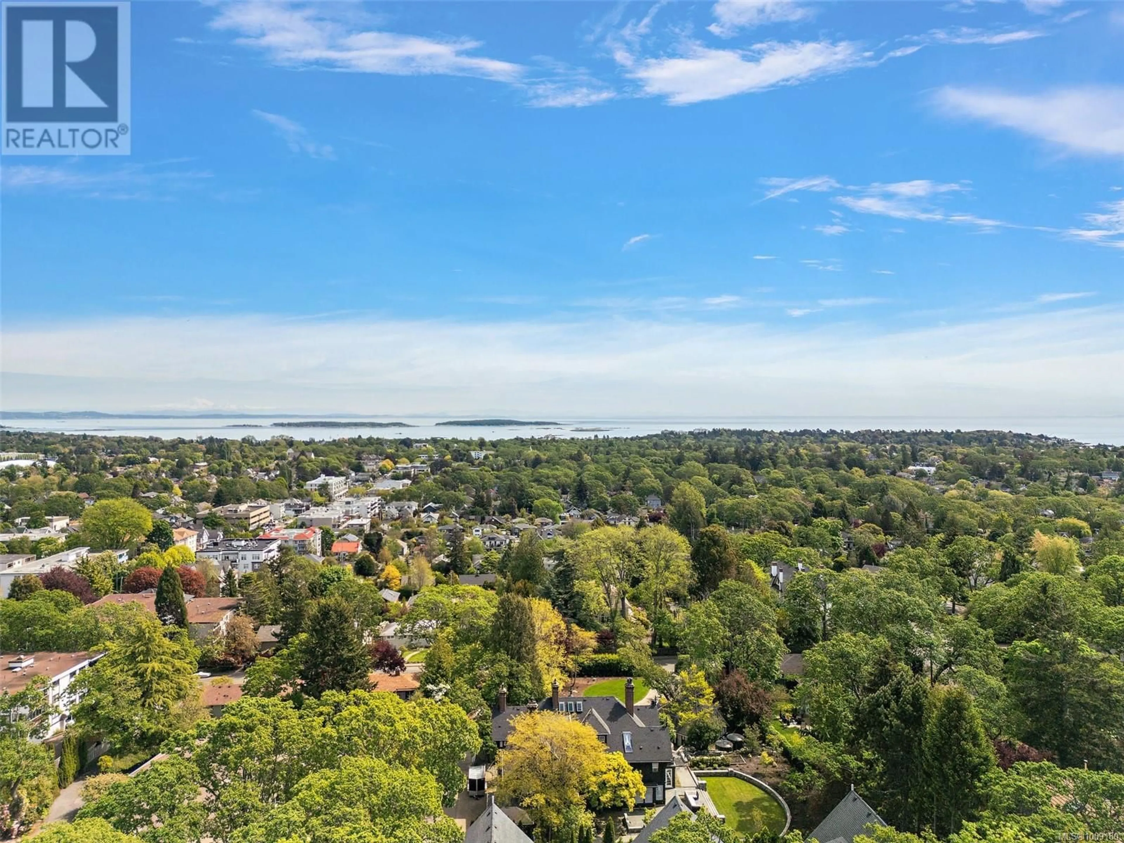 A pic from outside/outdoor area/front of a property/back of a property/a pic from drone, city buildings view from balcony for 1019 TERRACE AVENUE, Victoria British Columbia V8S3V2