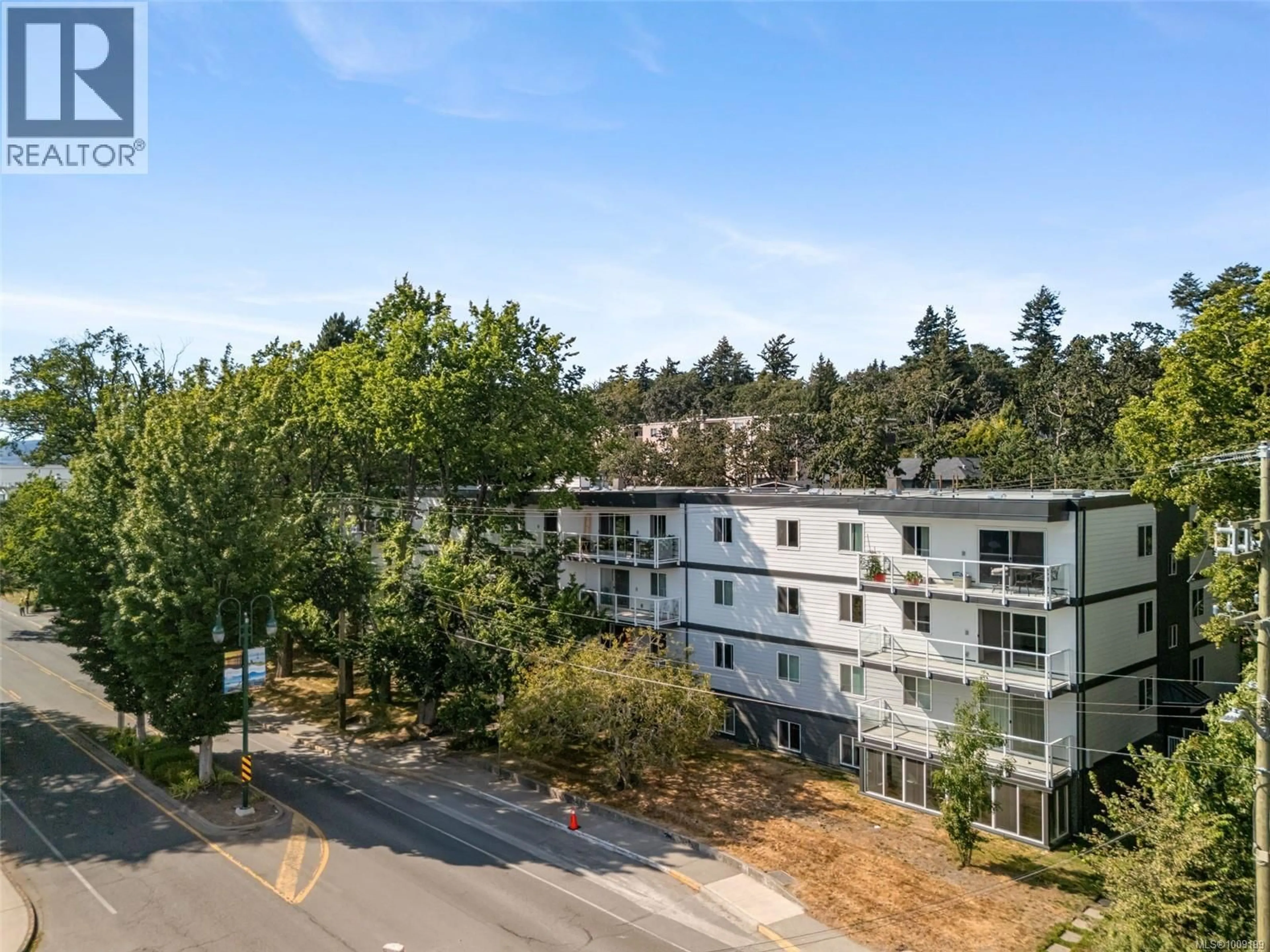 A pic from outside/outdoor area/front of a property/back of a property/a pic from drone, mountain view for 208 - 1124 ESQUIMALT ROAD, Esquimalt British Columbia V9A3N4