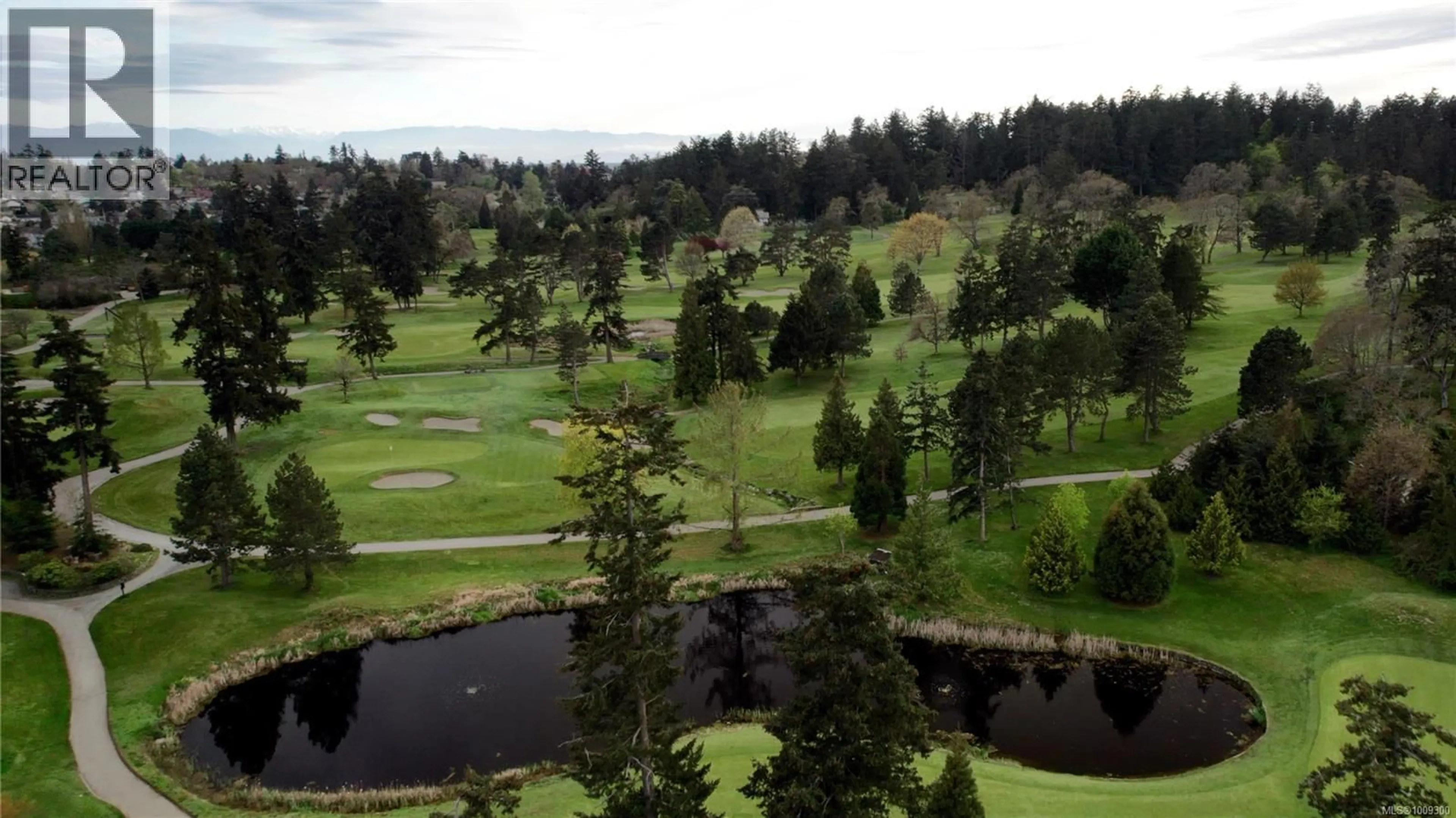 A pic from outside/outdoor area/front of a property/back of a property/a pic from drone, forest/trees view for 1158 CRAIGFLOWER ROAD, Esquimalt British Columbia V9A2Y3