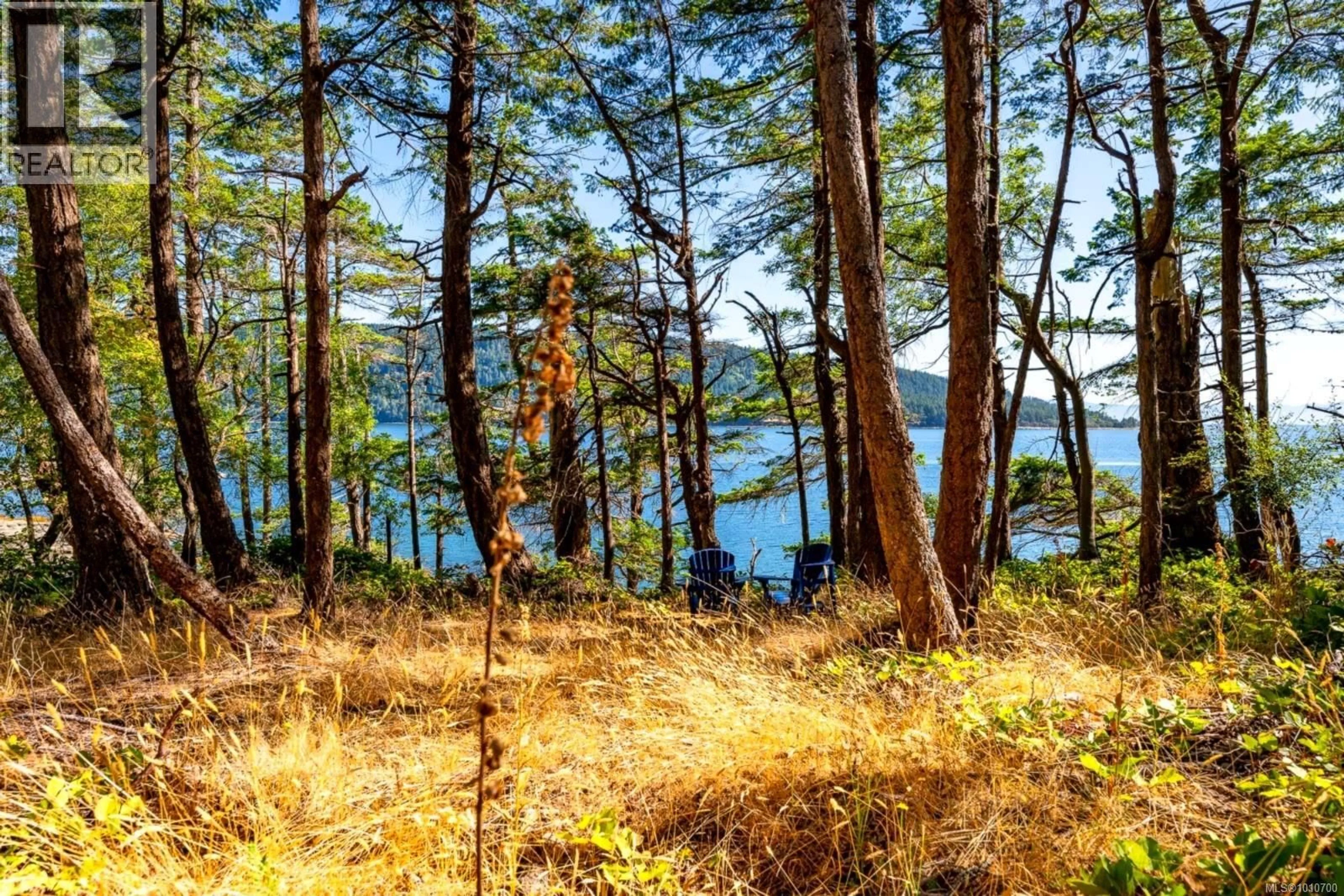 Blurry image for 6552 EAST ROAD, Denman Island British Columbia V0R1T0