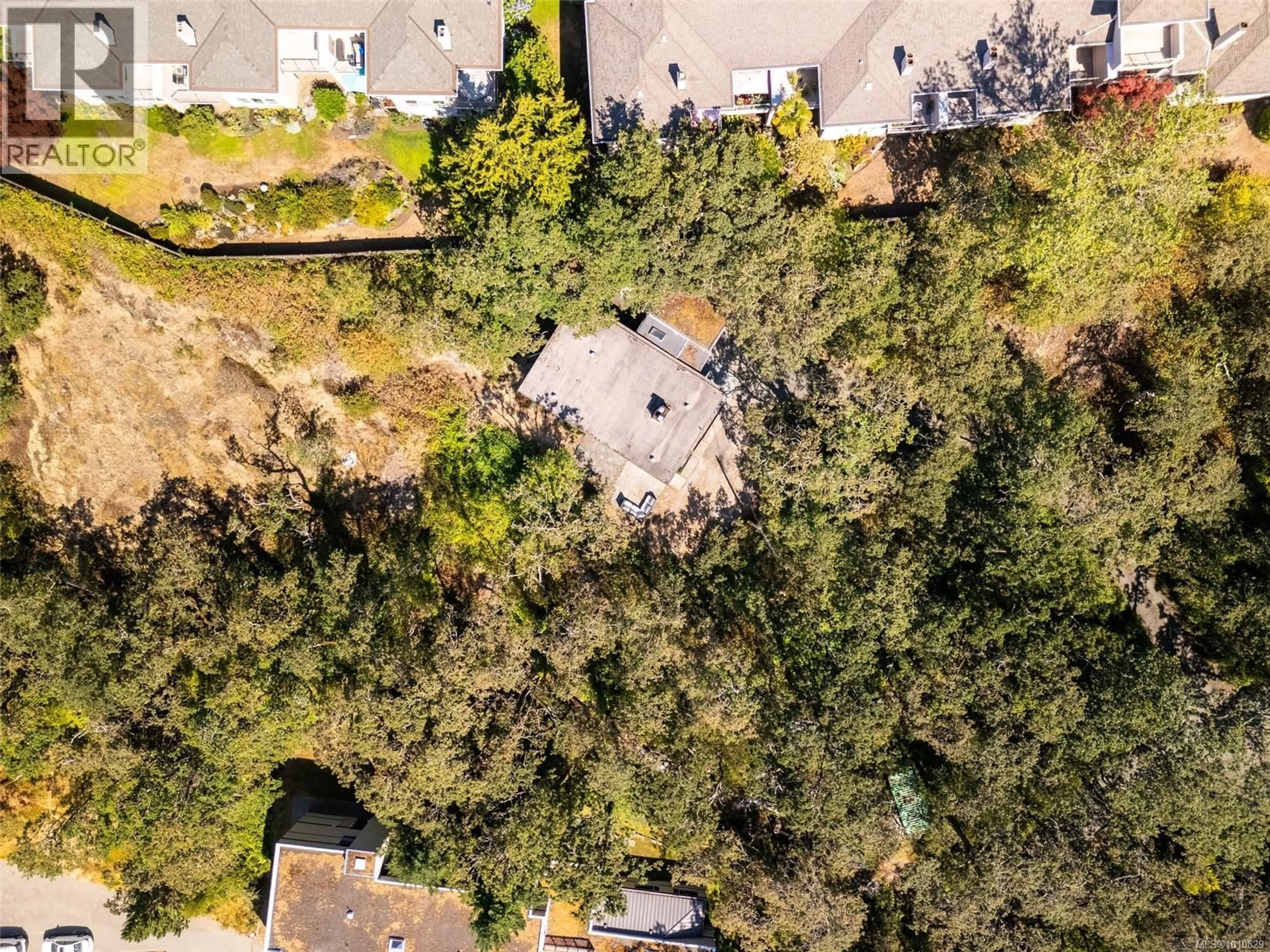 A pic from outside/outdoor area/front of a property/back of a property/a pic from drone, forest/trees view for 4050 NELTHORPE STREET, Saanich British Columbia V8X2A2