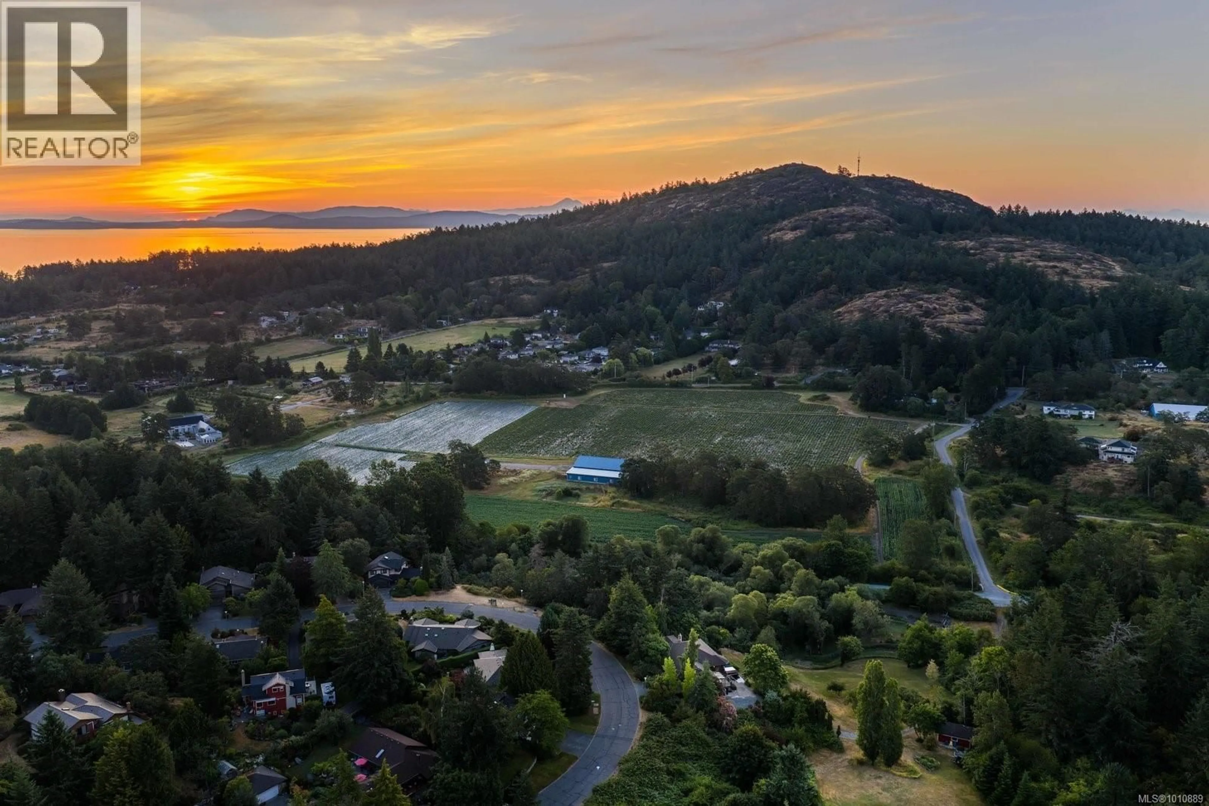 A pic from outside/outdoor area/front of a property/back of a property/a pic from drone, mountain view for 1070 DONWOOD DRIVE, Saanich British Columbia V8X4G3