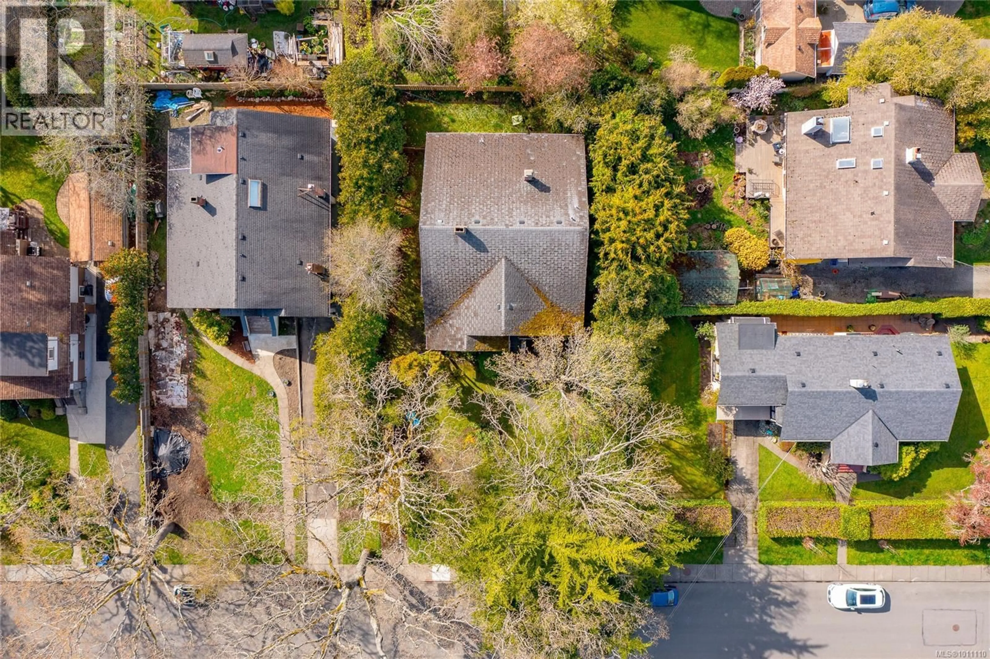 A pic from outside/outdoor area/front of a property/back of a property/a pic from drone, street for 1070 ST. DAVID STREET, Oak Bay British Columbia V8S4Y8