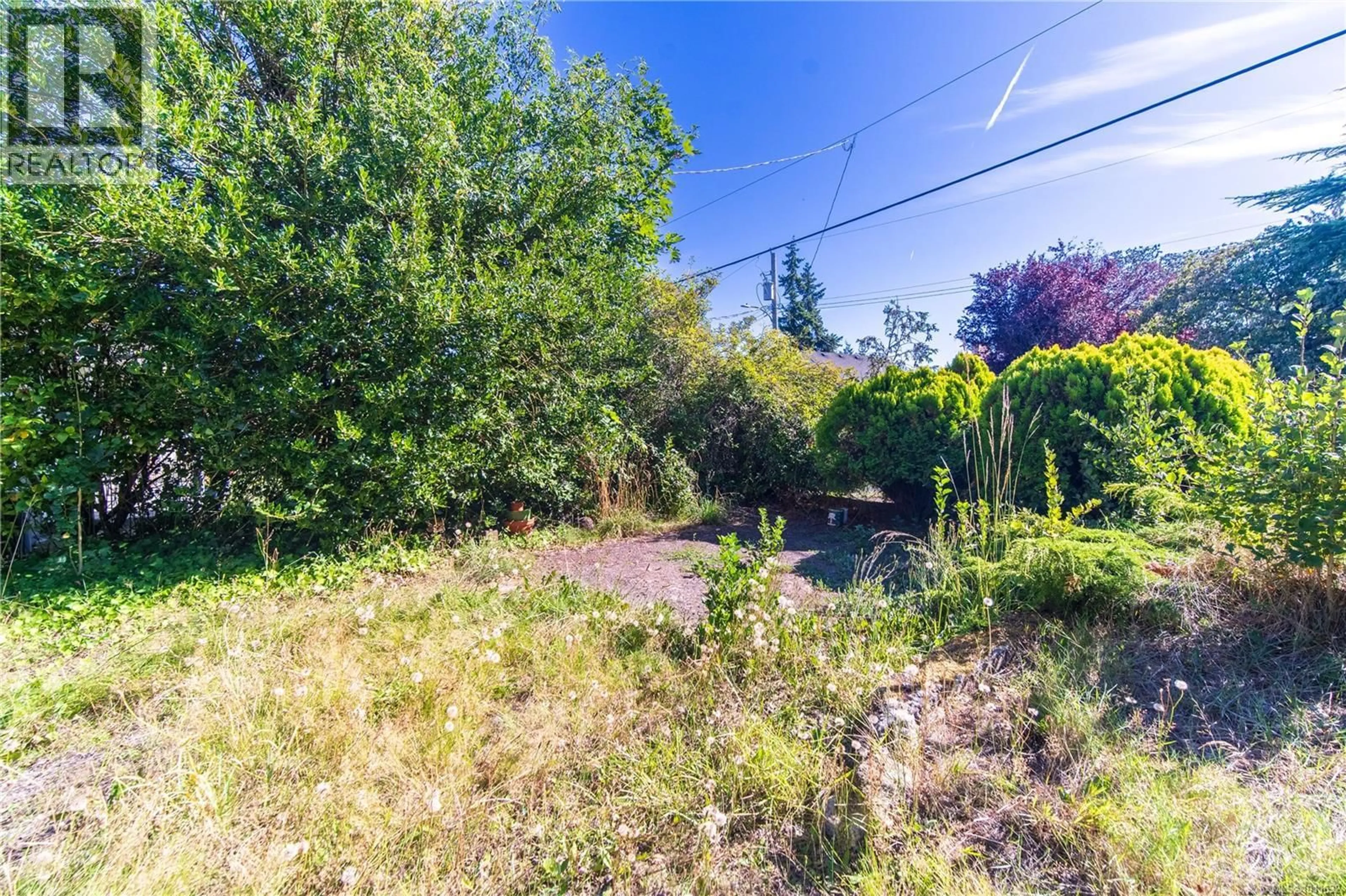 A pic from outside/outdoor area/front of a property/back of a property/a pic from drone, forest/trees view for 508 DAVIDA AVENUE, Saanich British Columbia V9A2C7