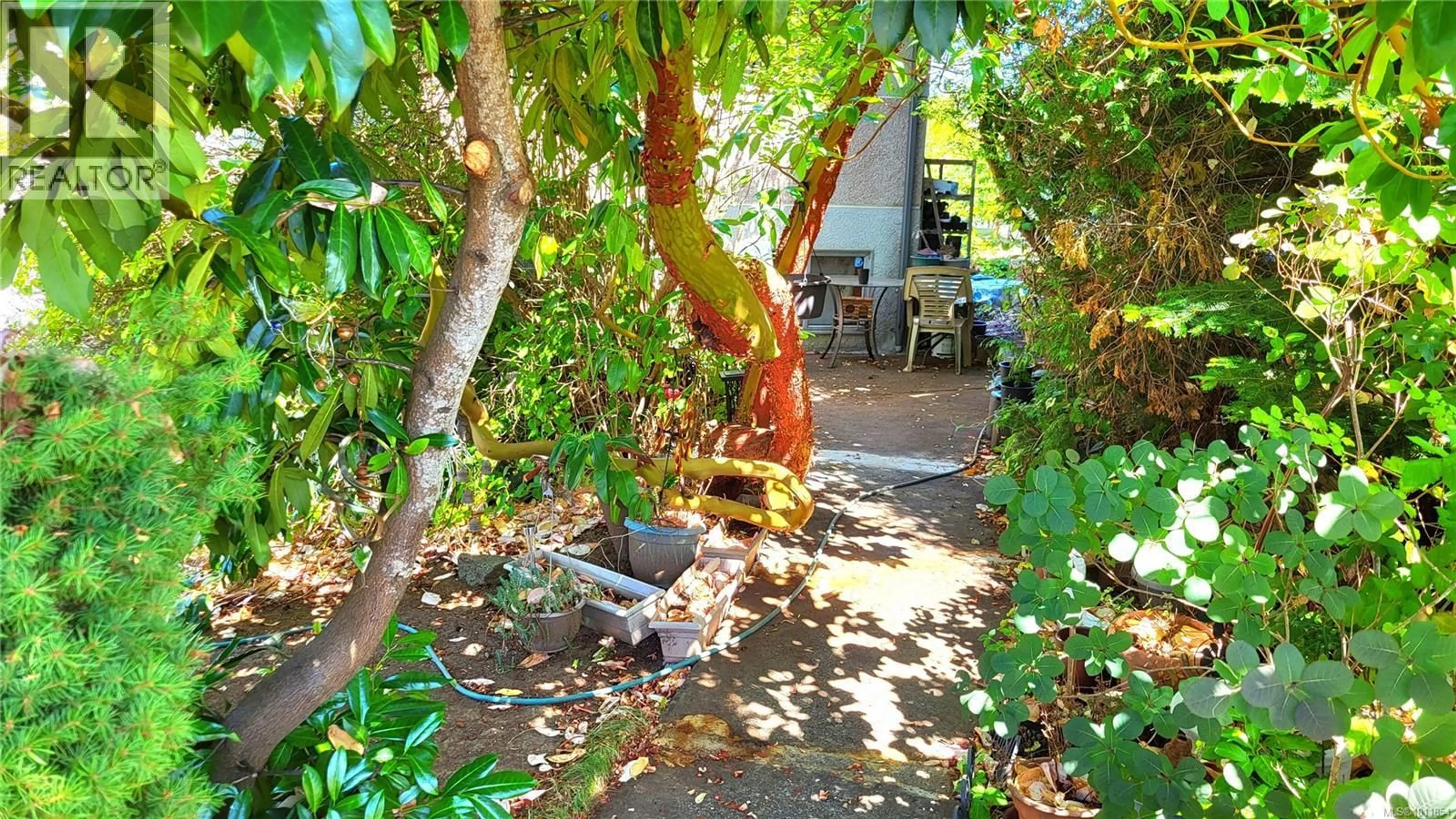 Patio, street for 3783 EXTON STREET, Port Alberni British Columbia V9Y3Y1