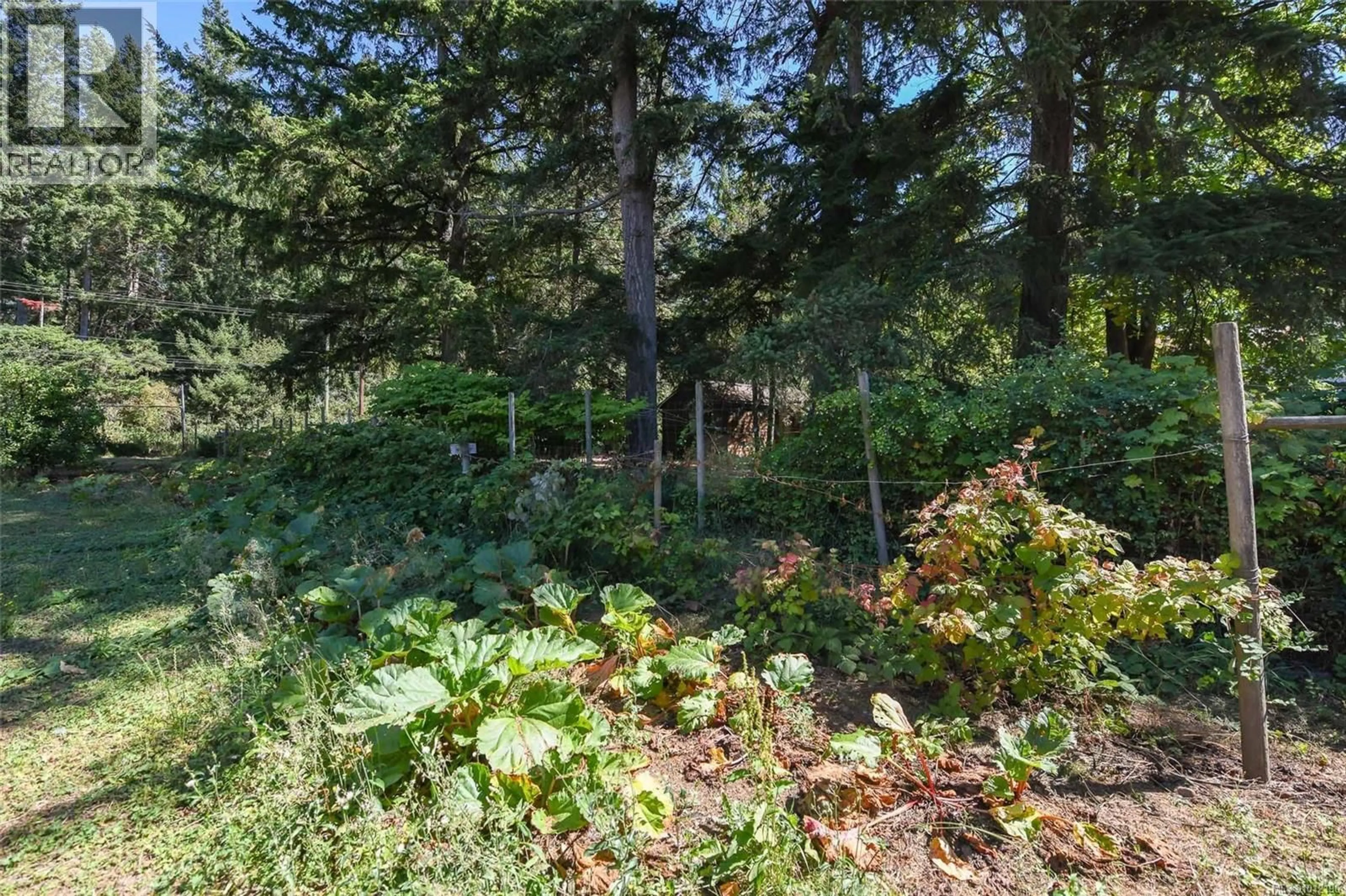 A pic from outside/outdoor area/front of a property/back of a property/a pic from drone, forest/trees view for 5835 ISLAND HIGHWAY NORTH, Courtenay British Columbia V9J1T3