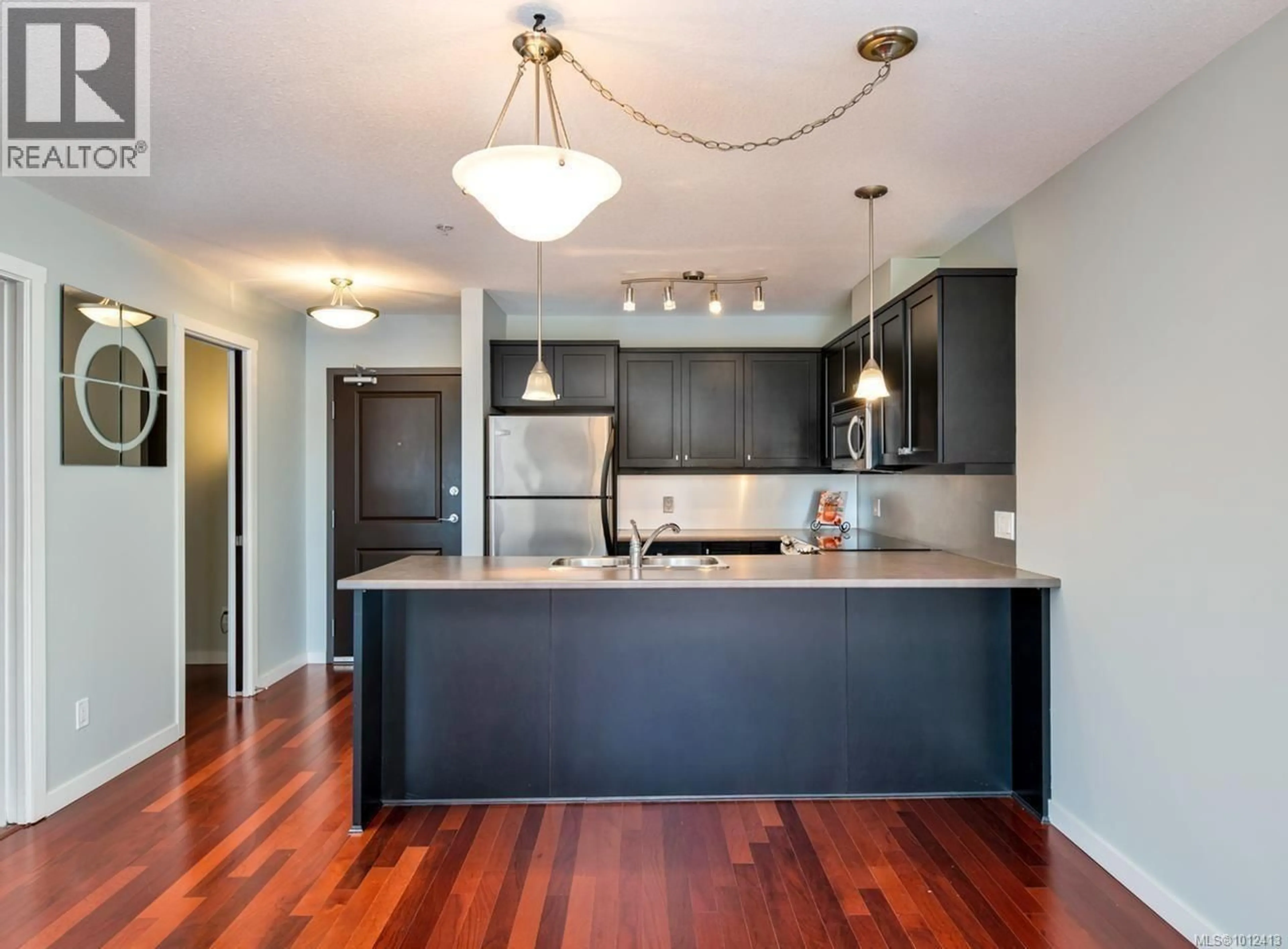Open concept kitchen, wood/laminate floor for 223 - 555 FRANKLYN STREET, Nanaimo British Columbia V9R2X9