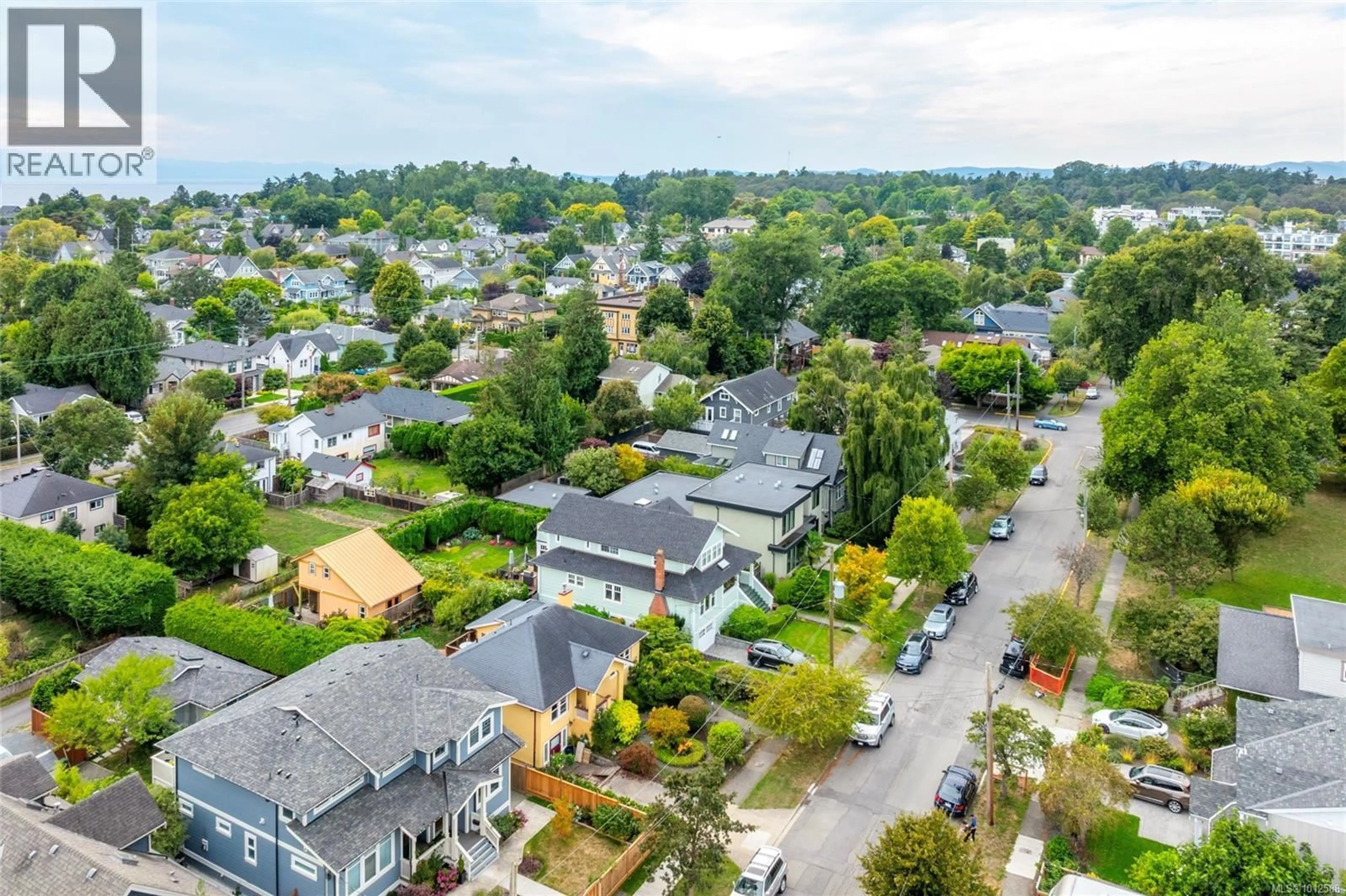 A pic from outside/outdoor area/front of a property/back of a property/a pic from drone, street for 1235 CHAPMAN STREET, Victoria British Columbia V8V2T7