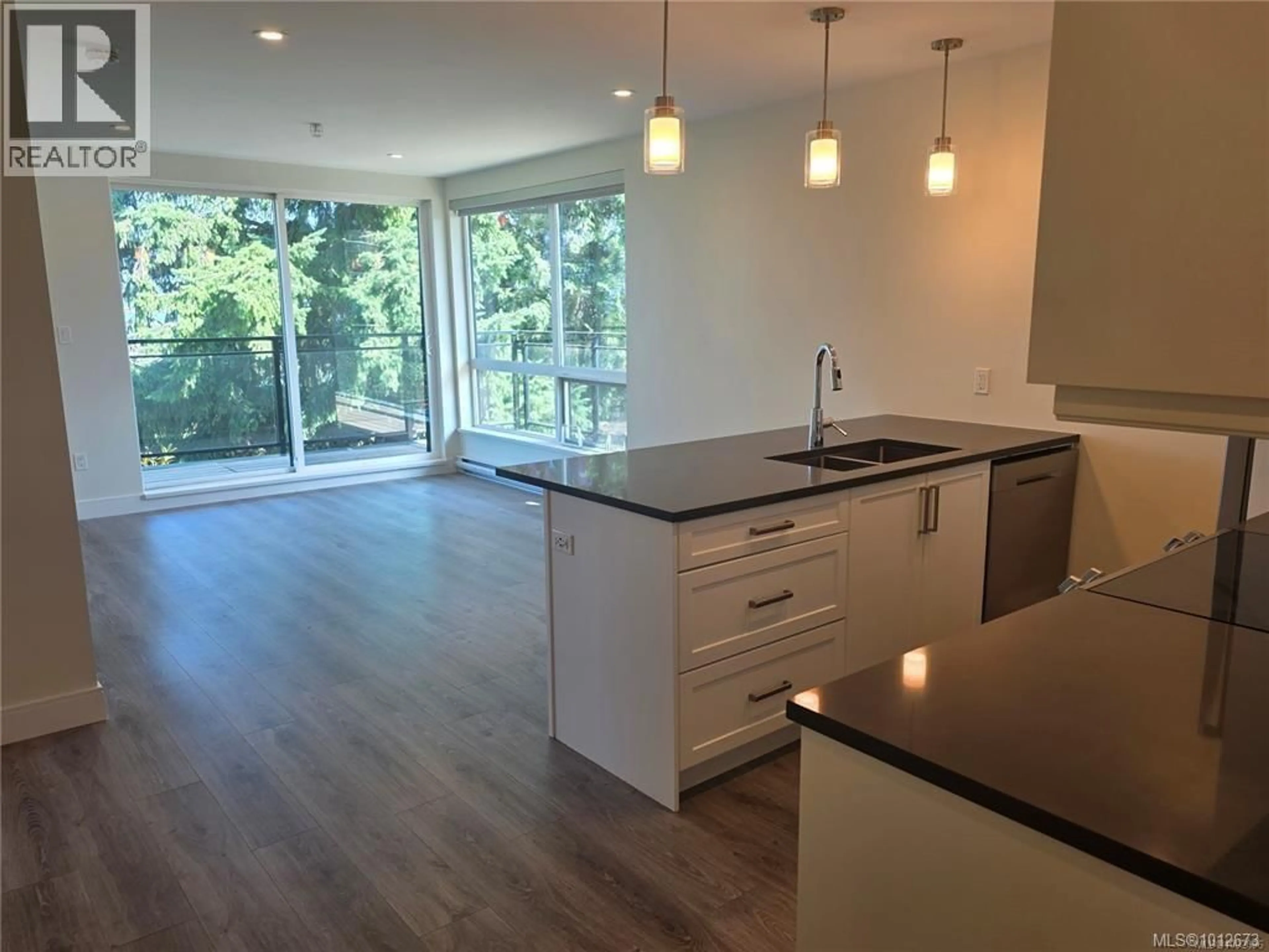 Open concept kitchen, wood/laminate floor for 201 - 119 HALIBURTON STREET, Nanaimo British Columbia V9R4V9