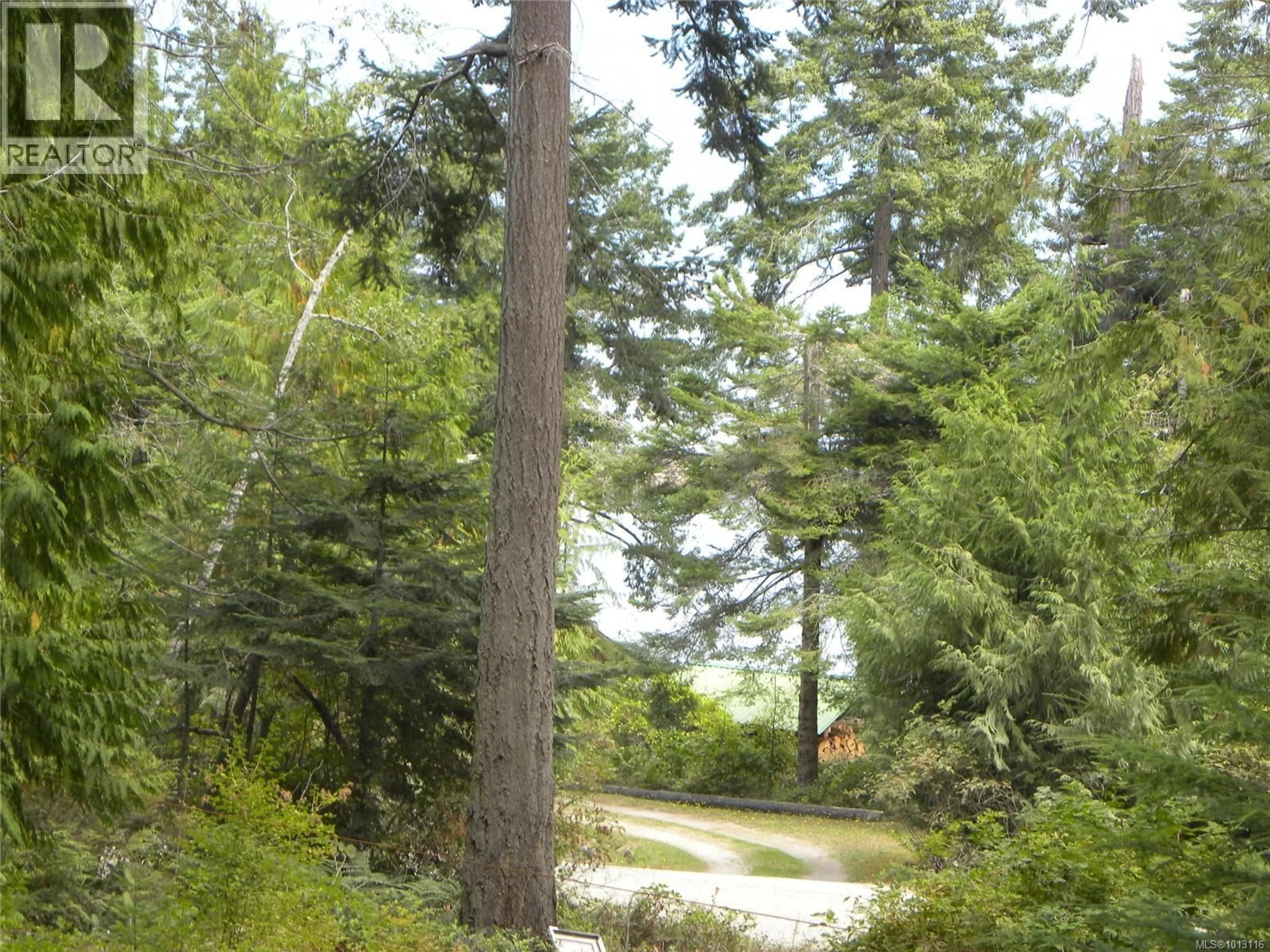 Blurry image for 66 SPRING BAY ROAD, Lasqueti Island British Columbia V0R2J0