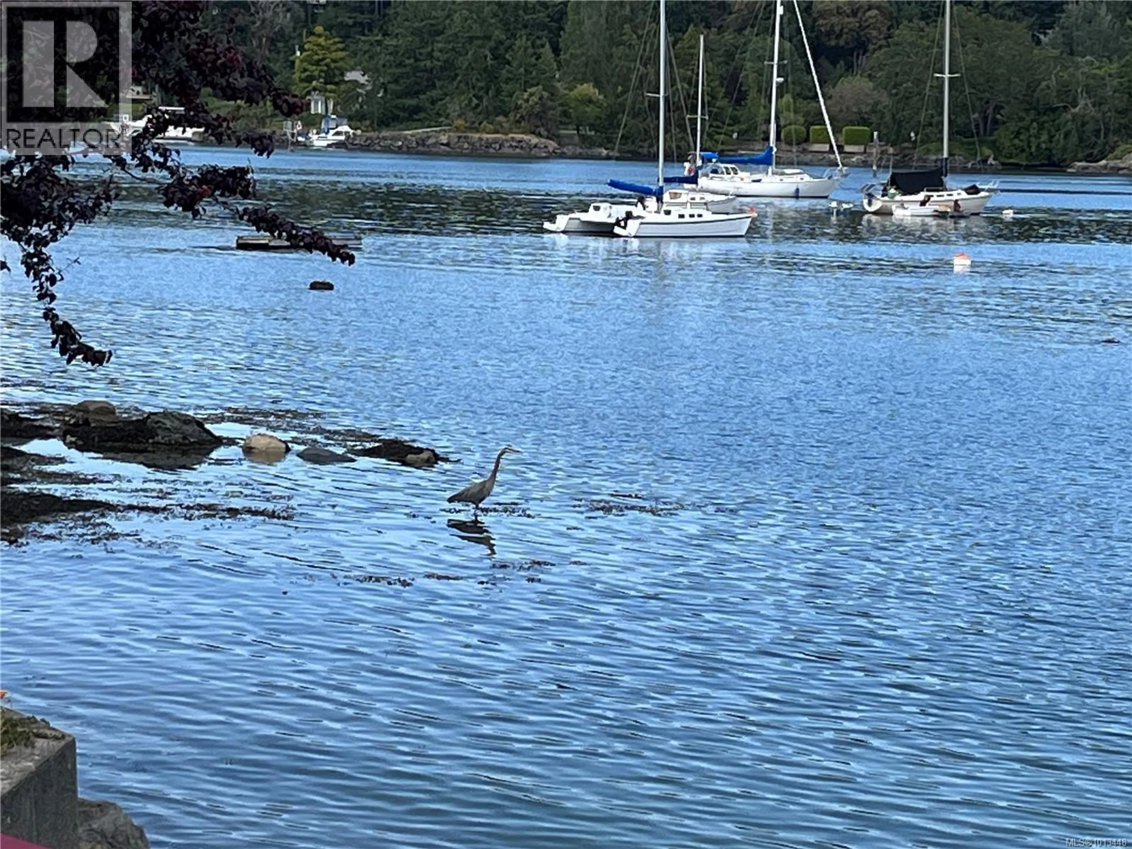 Blurry image for 10655 BLUE HERON ROAD, North Saanich British Columbia V8L5S6