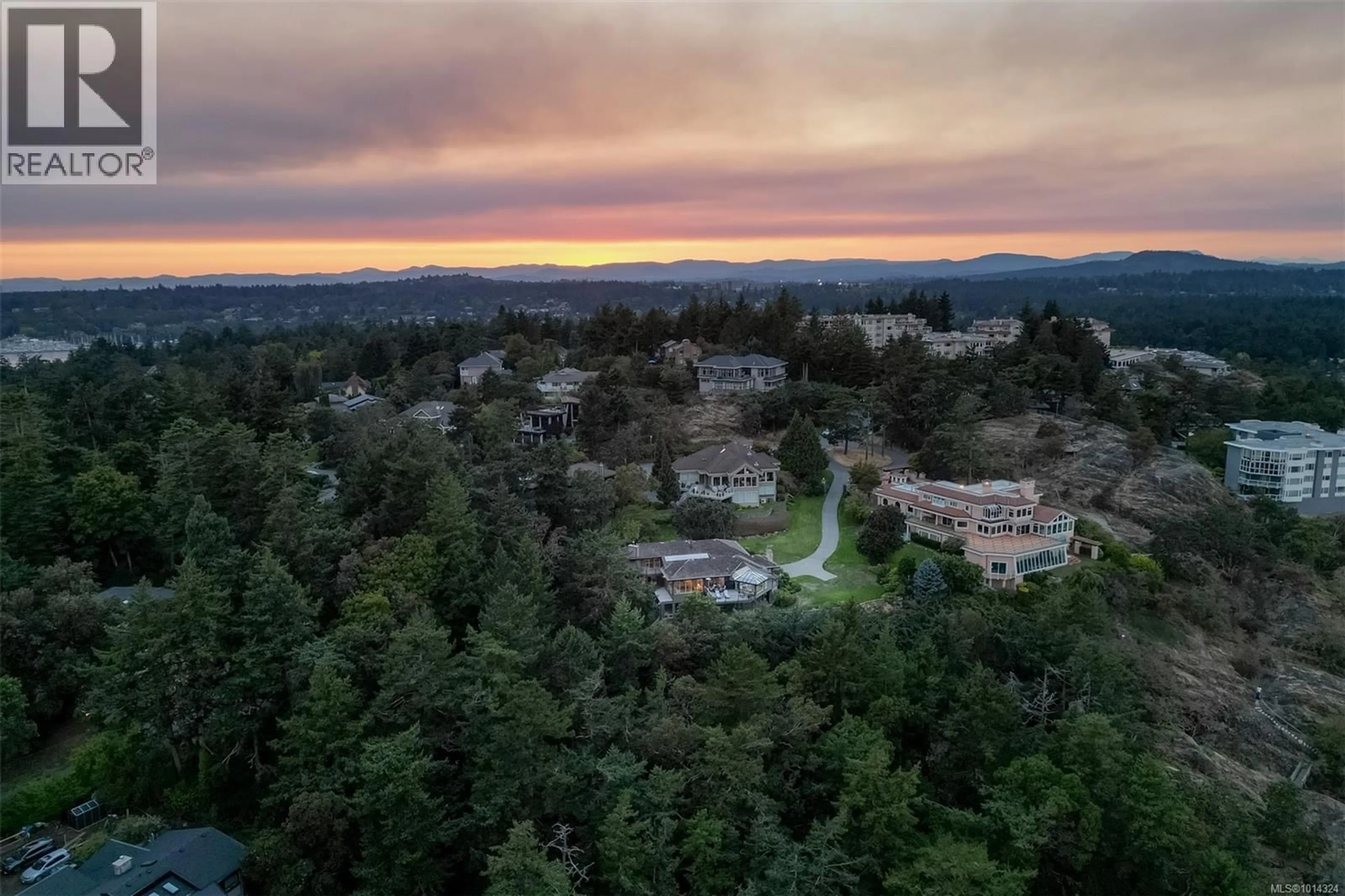 A pic from outside/outdoor area/front of a property/back of a property/a pic from drone, forest/trees view for 2807 ARBUTUS ROAD, Saanich British Columbia V8N5X6